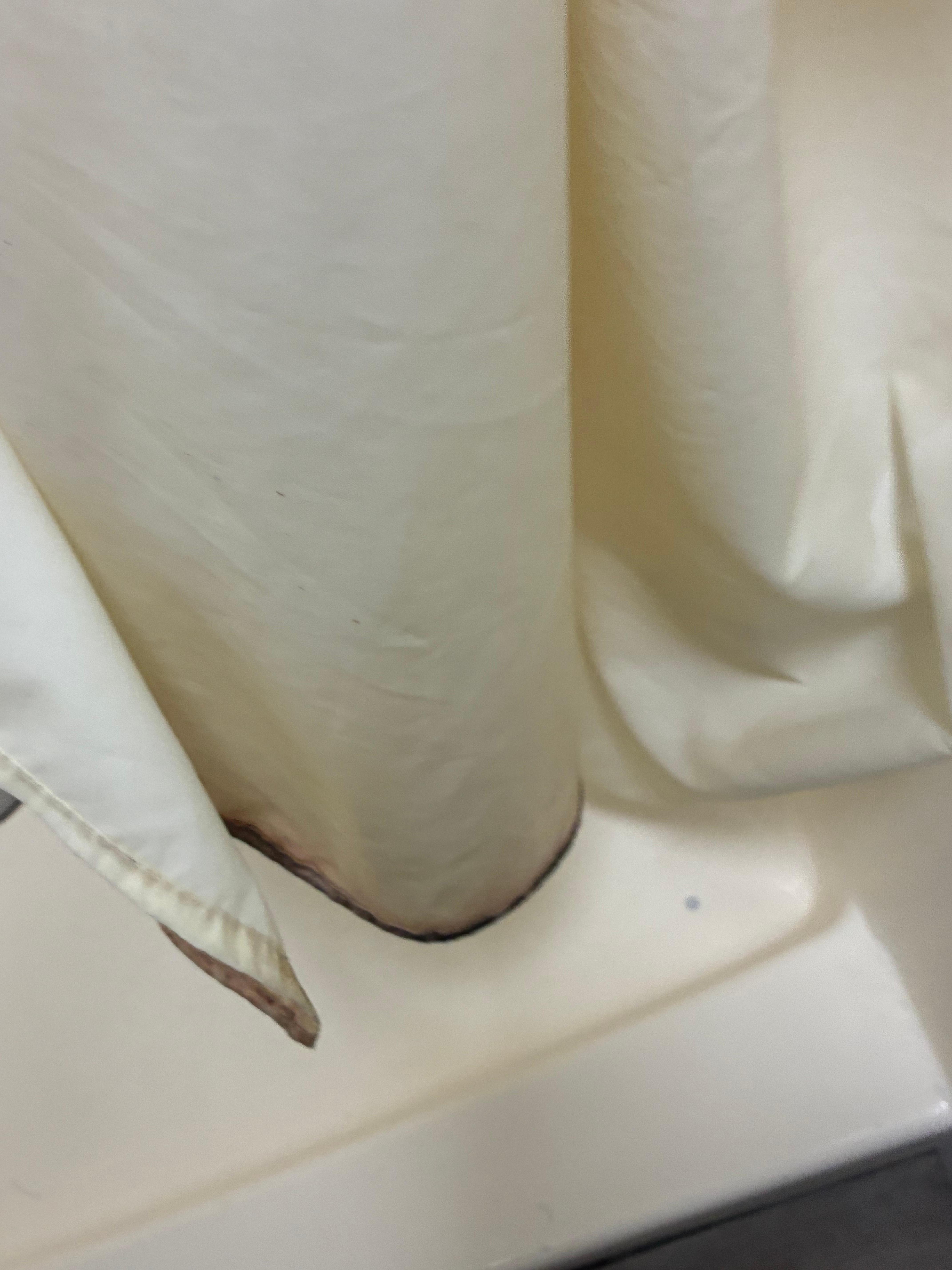 Mold on shower curtain 