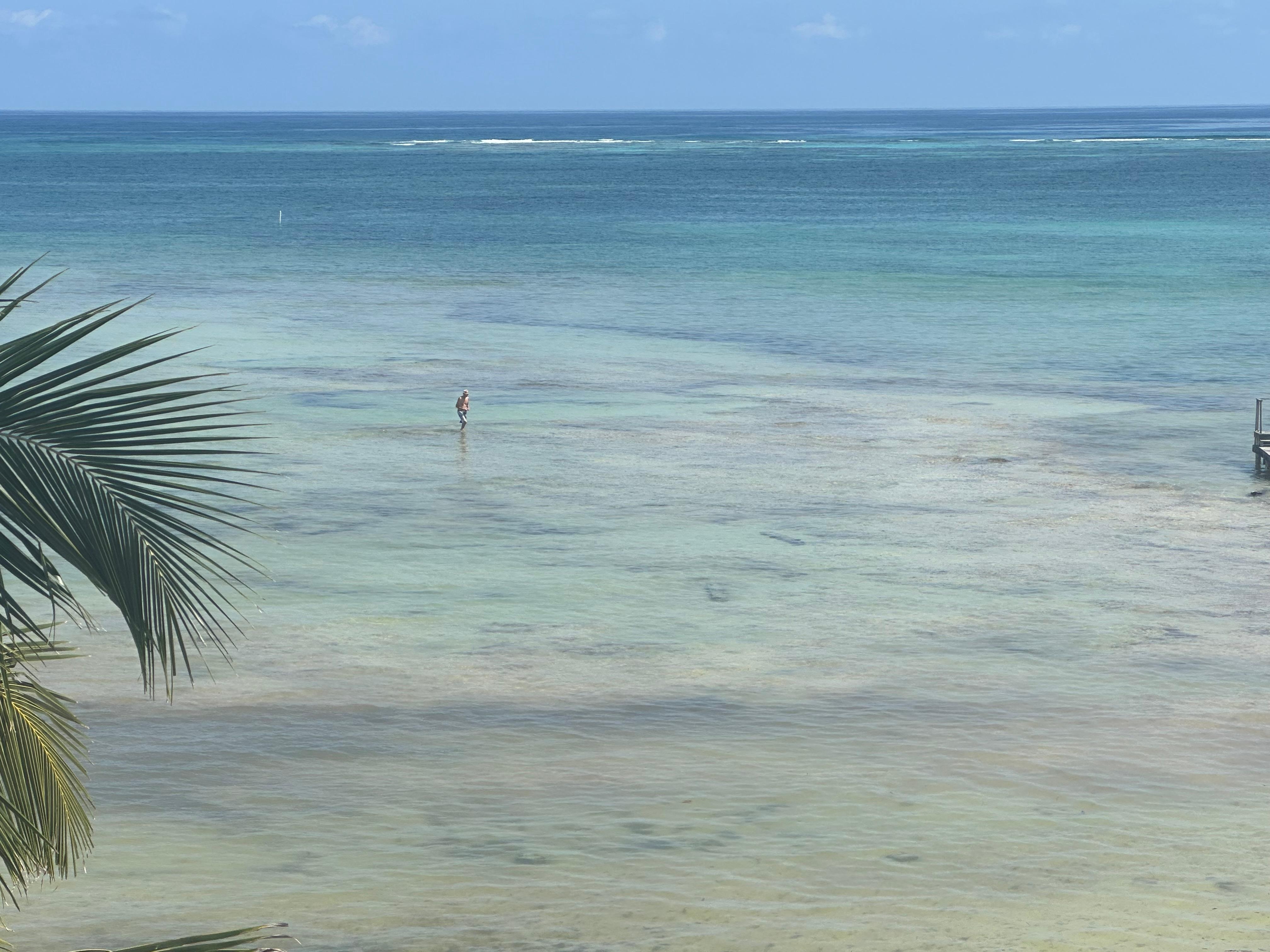 Outstanding 3 rd level view from corner unit very private