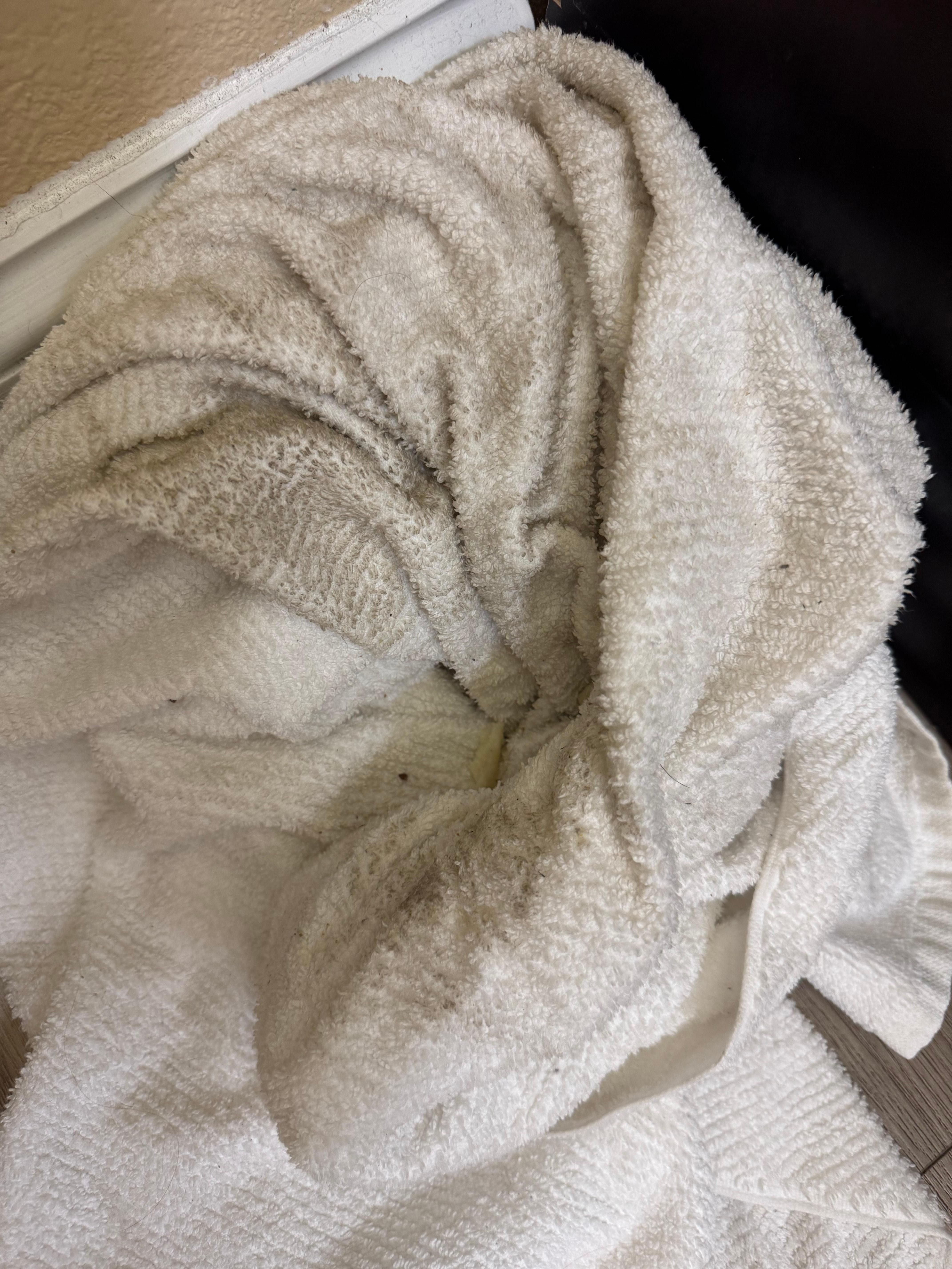 This was a towel we were given when we entered the room.