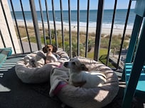 Our girls enjoyed the ocean front balcony