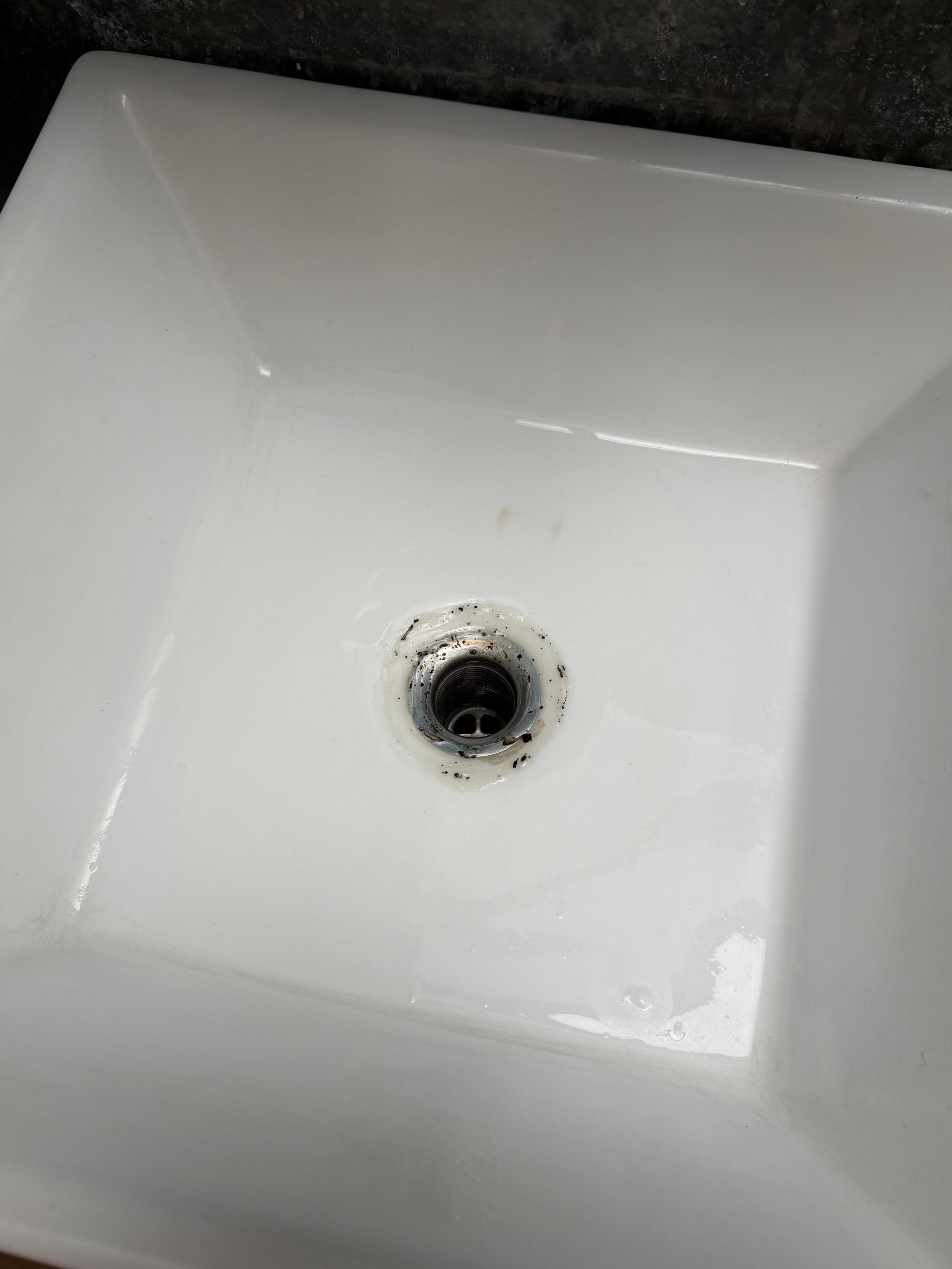 Moldy sink