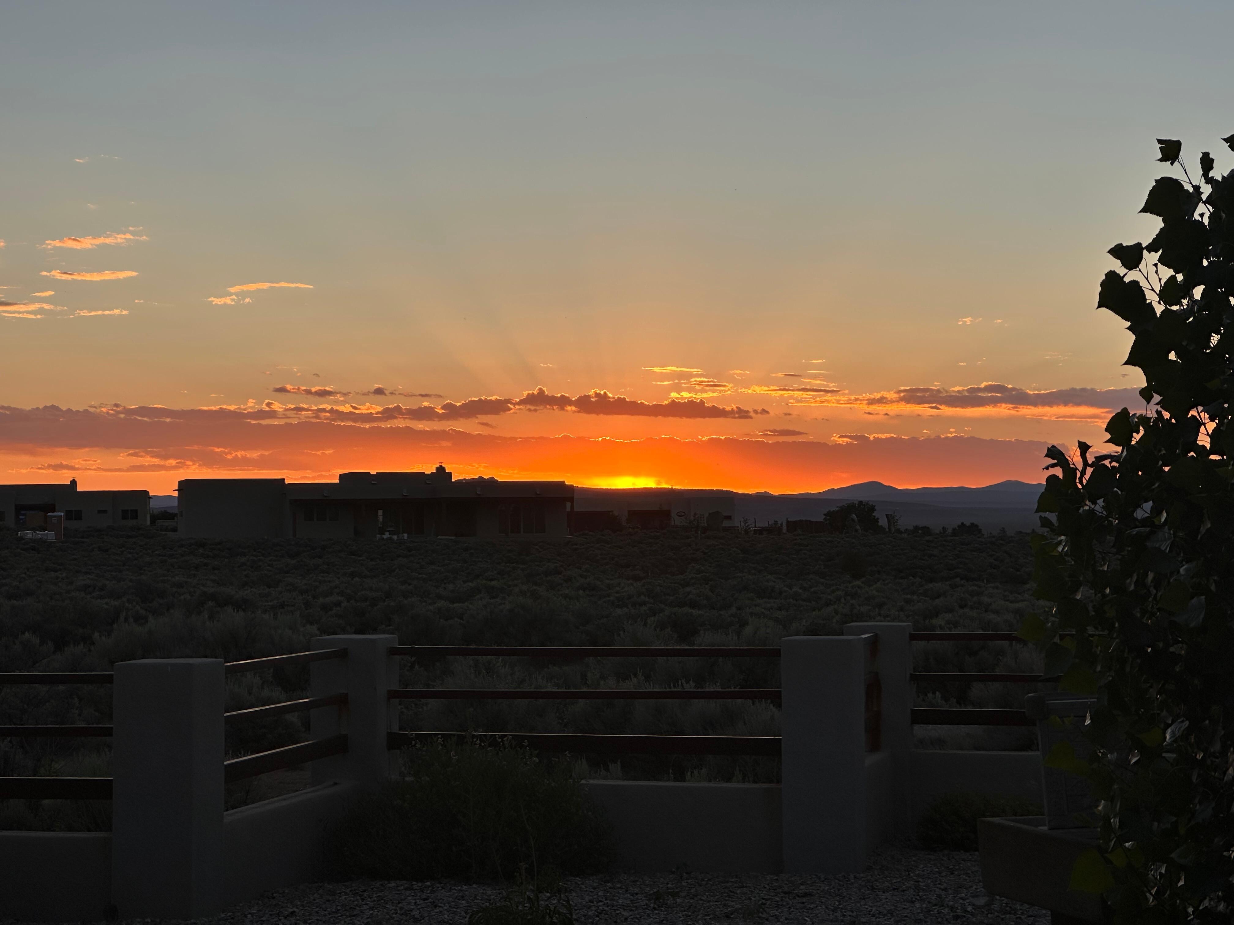 from back patio