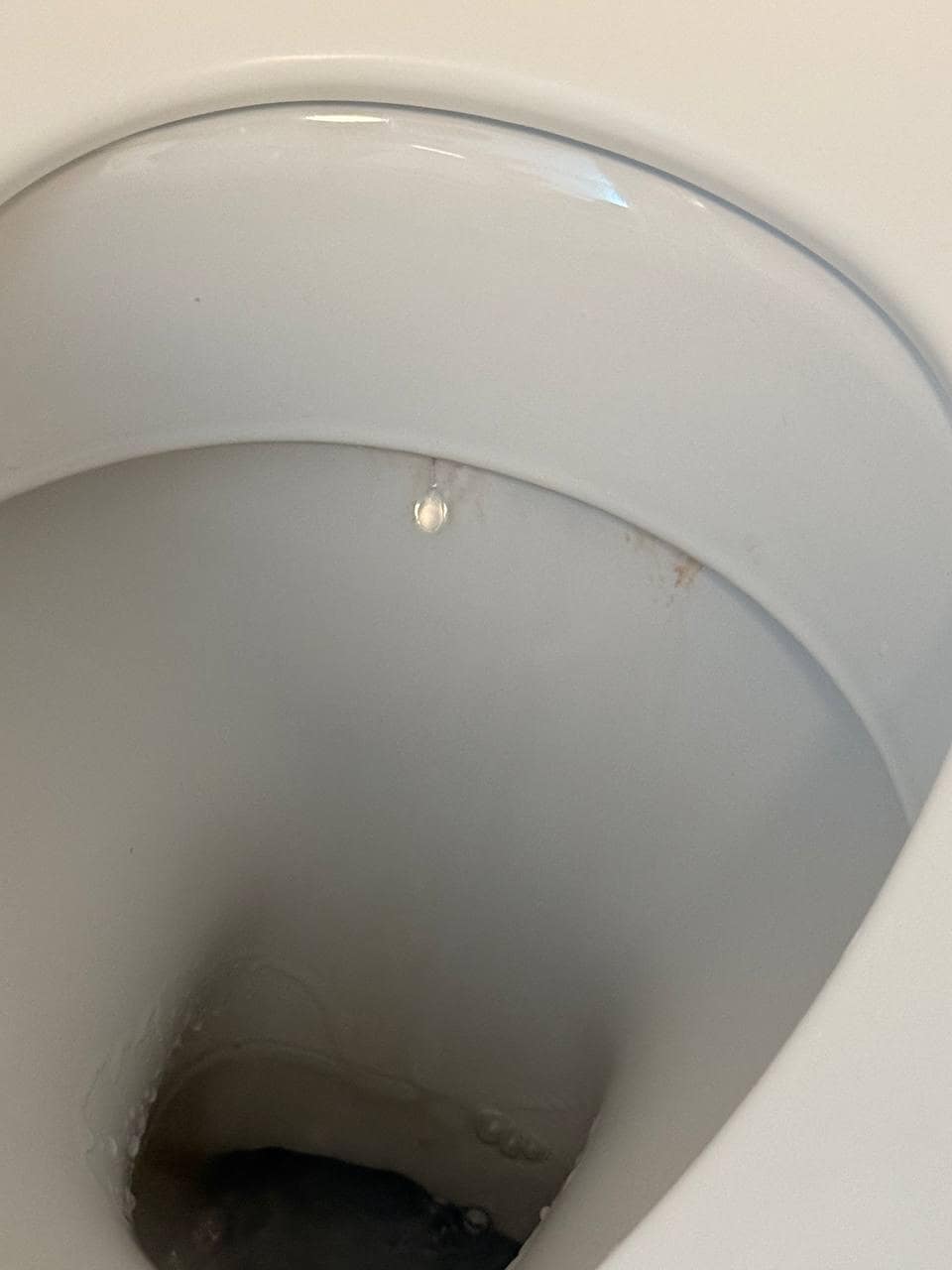 toilet bowl