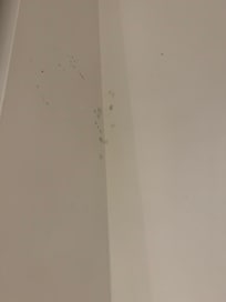 Mold on walls in room
