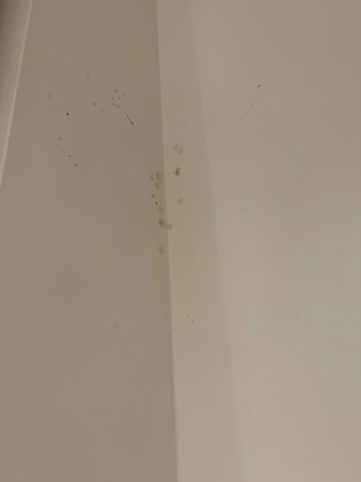 Mold on walls in room