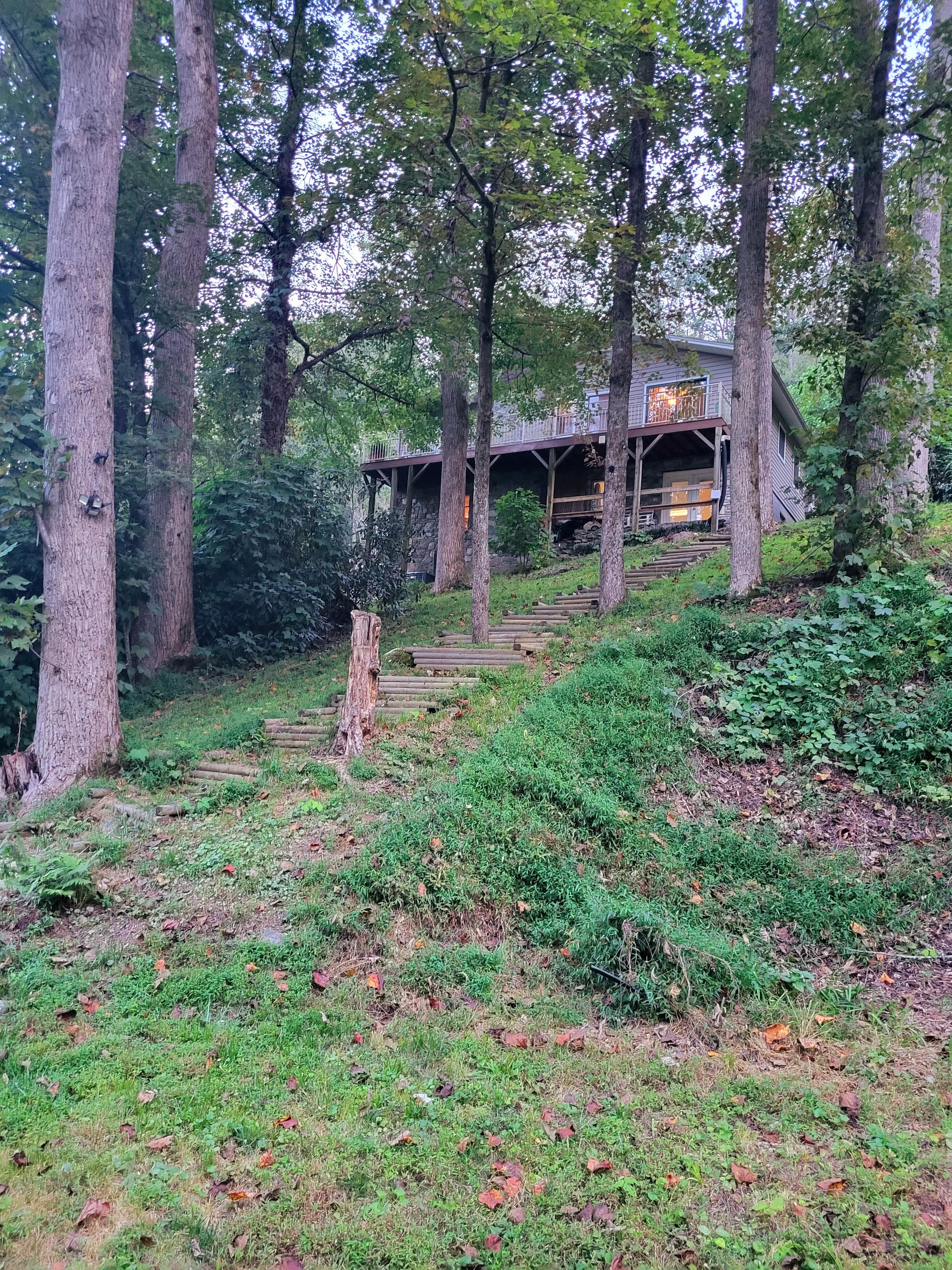 Pic from the creek looking up to the cabin
