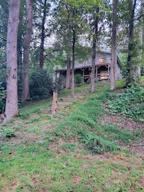 Pic from the creek looking up to the cabin
