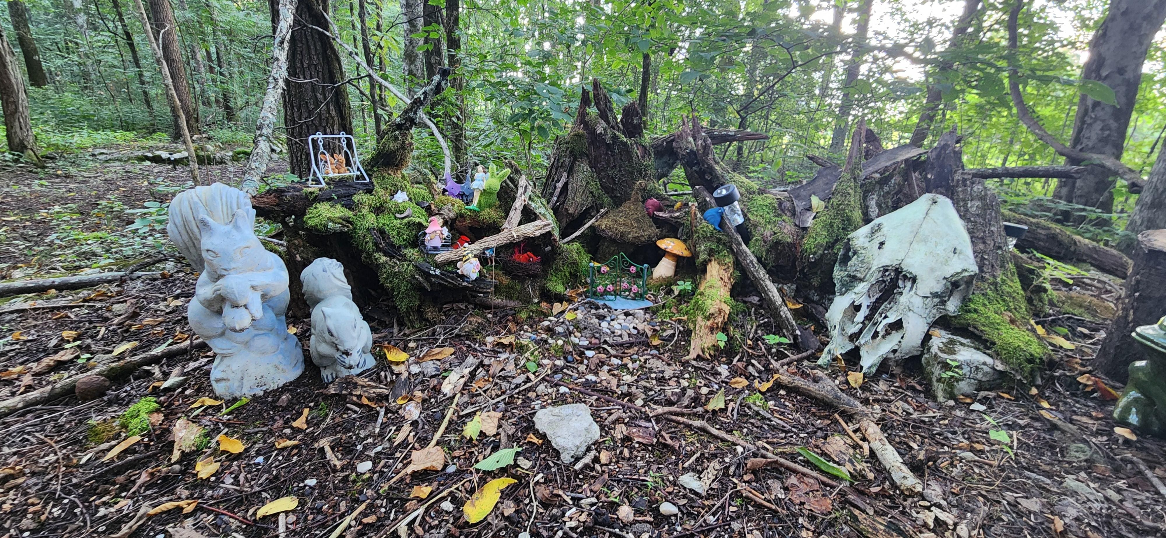 The fairy trail was adorable 