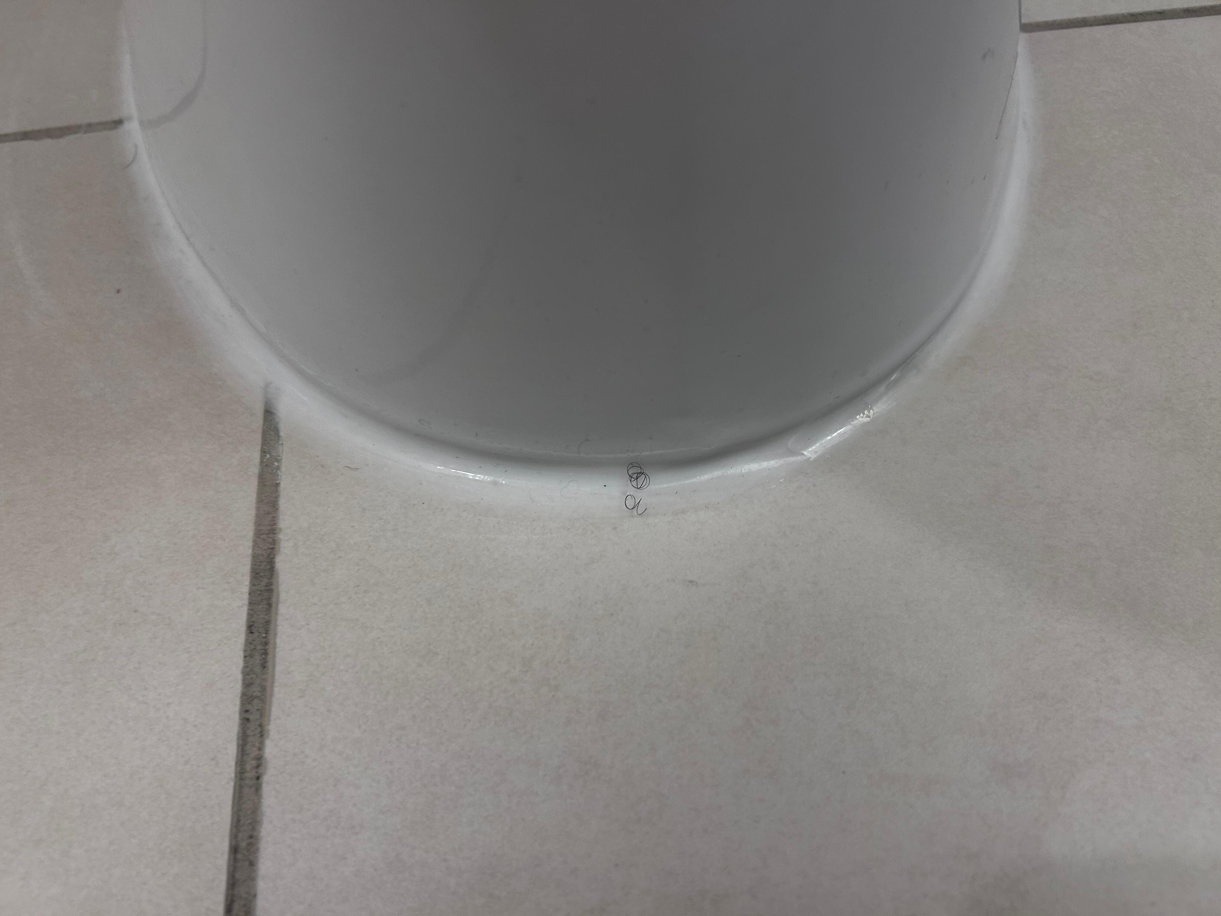 Hair around toilet