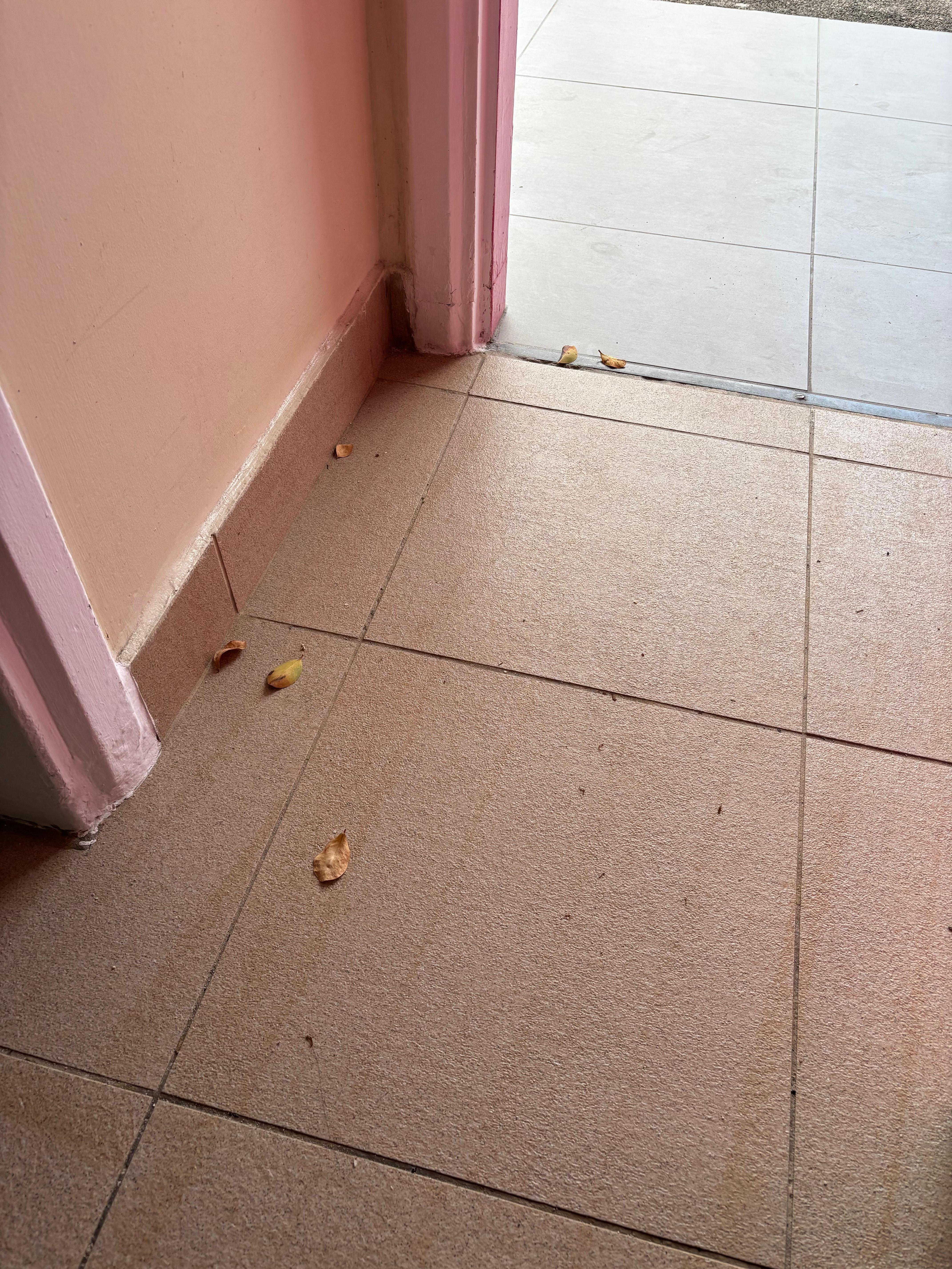 The entrance way to a premium room