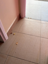 The entrance way to a premium room