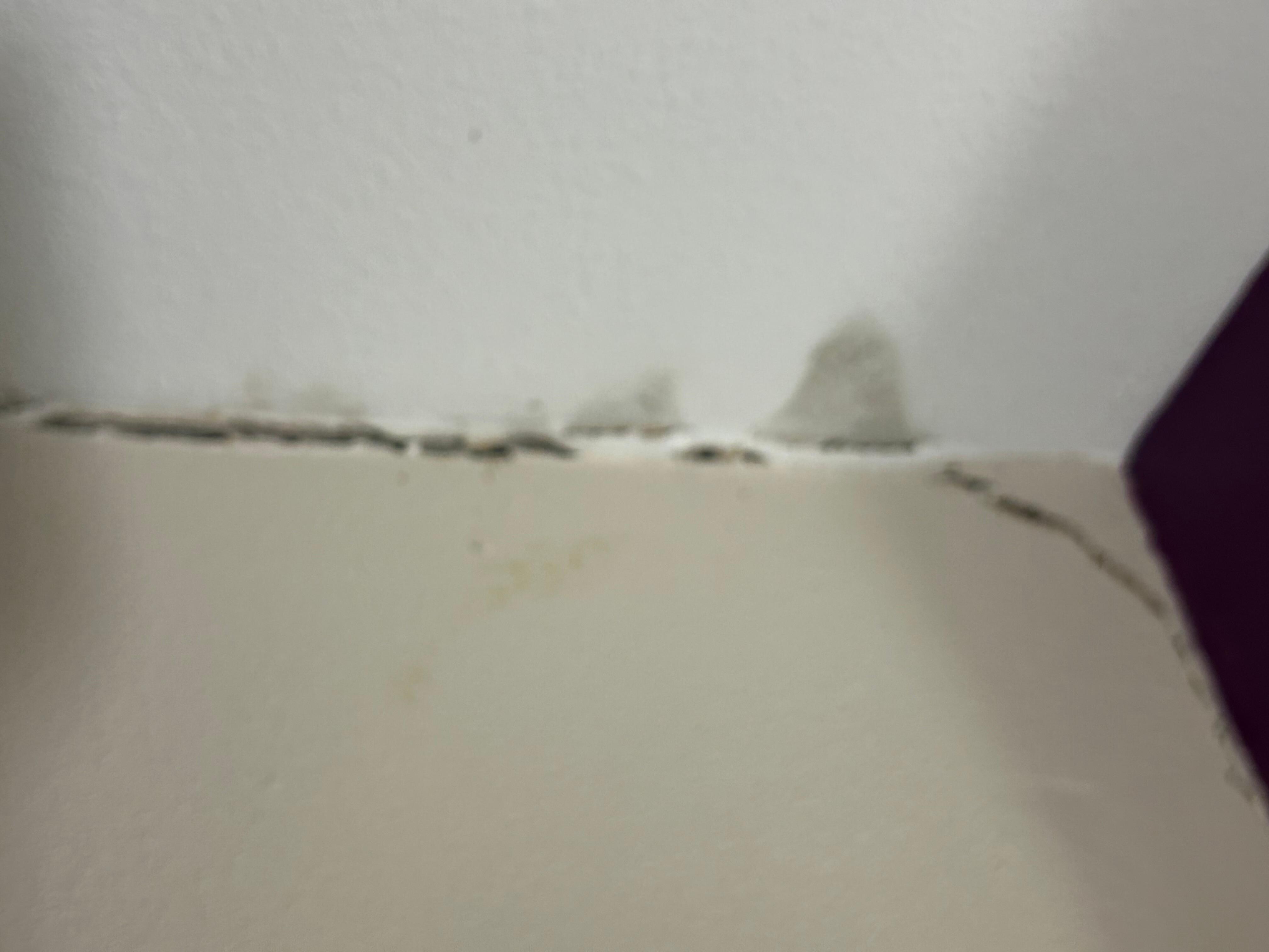 Wall separating top right corner.