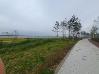 Hacia Incheon Inspire Arena.