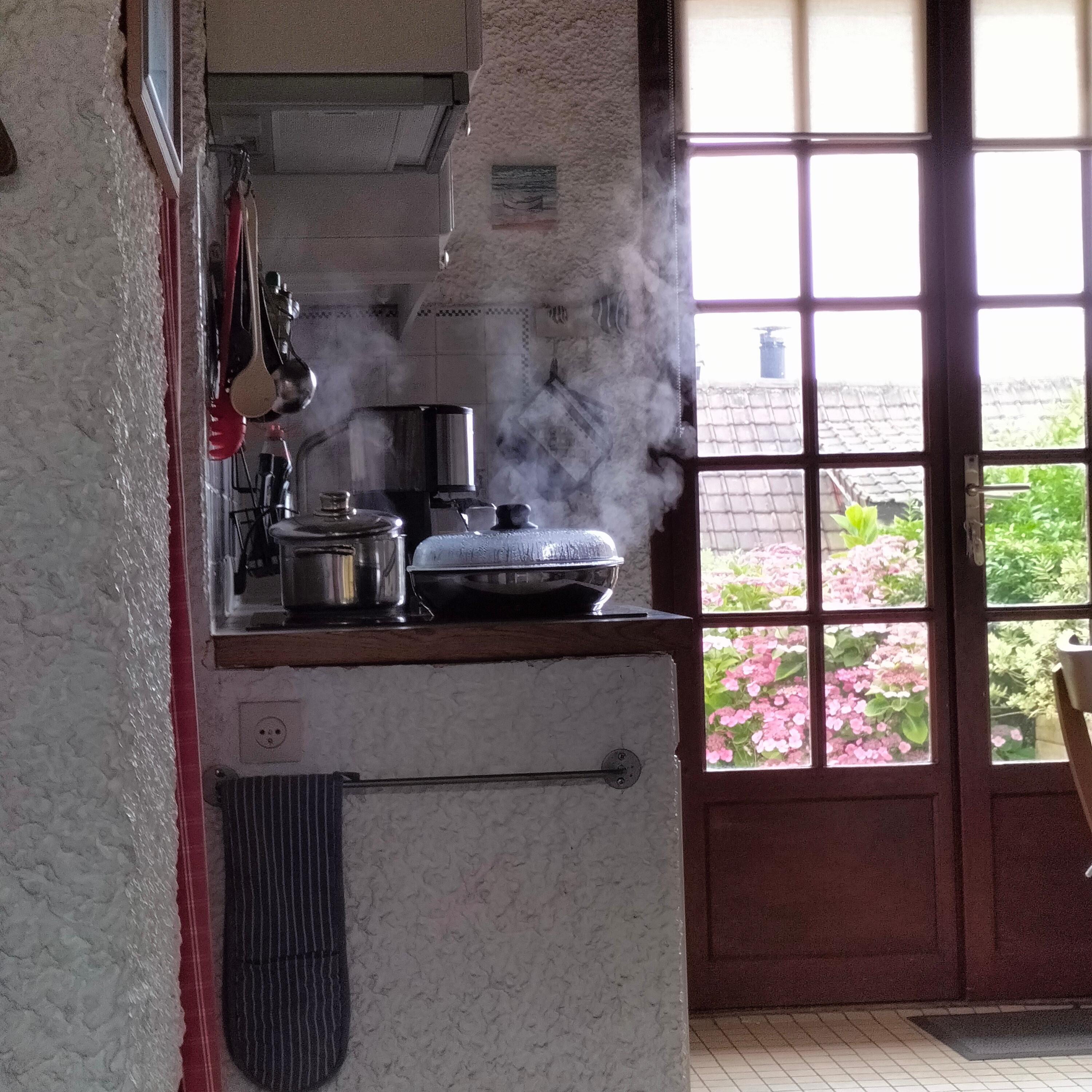 Hotte d évacuation non fonctionnel , micro onde beaucoup trop  monté sur un marche pieds en plastique pour des personnes d un certain âge pas évident, certains luminaires ne fonctionne pas, télécommande.tv certained  fonction inutilisable 