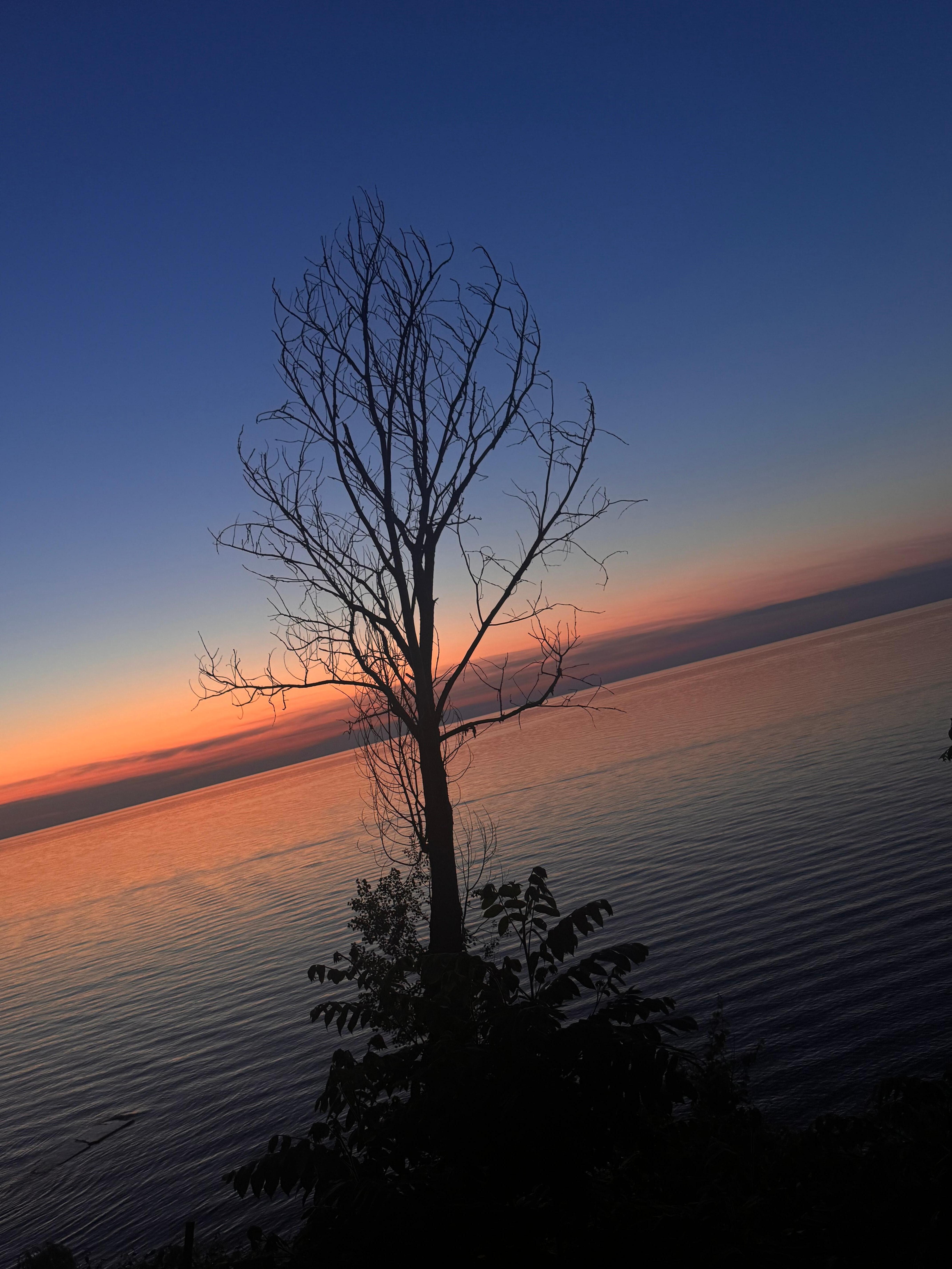 Sunsets galore! 
