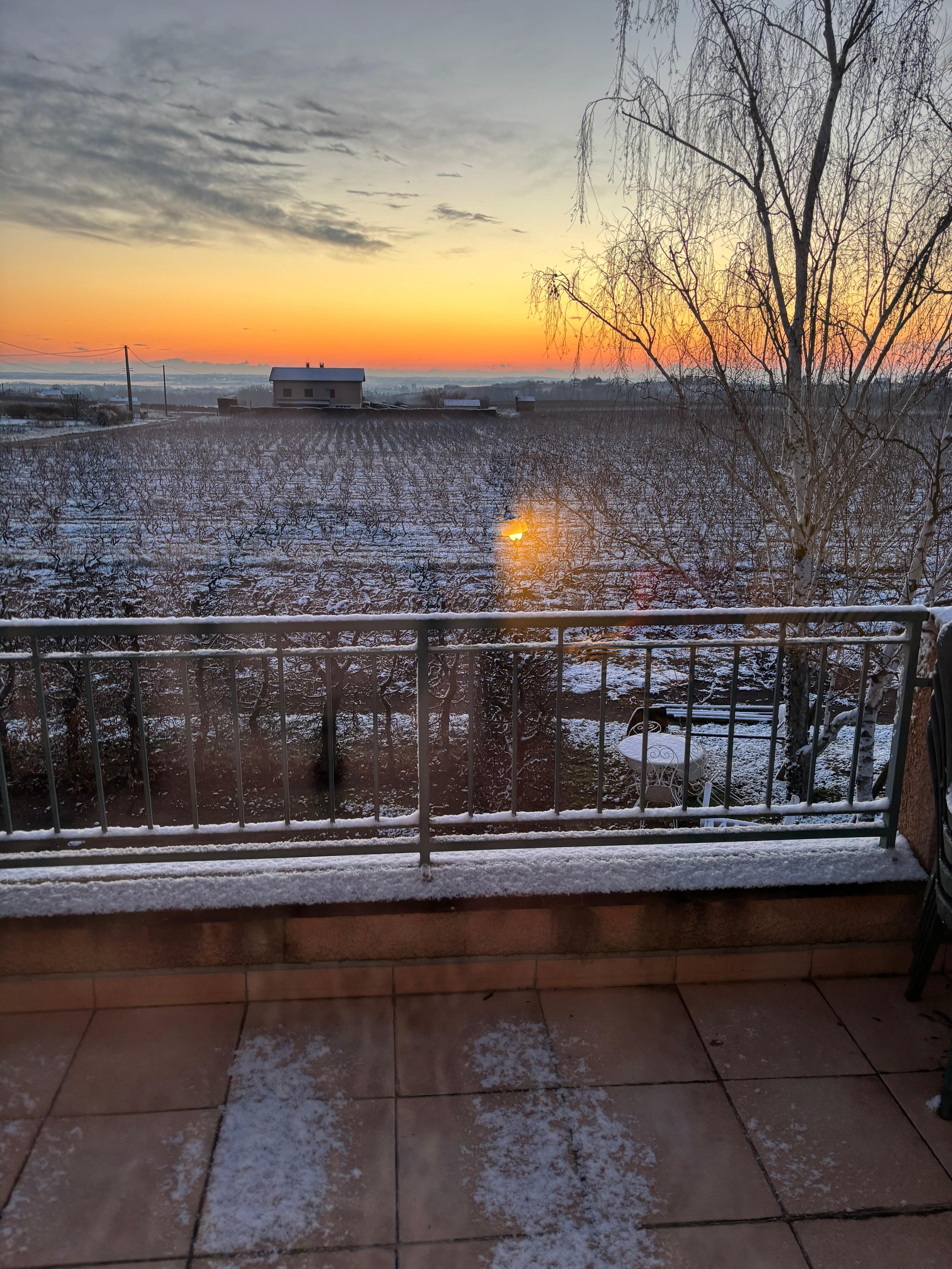 Vue dégagée  sur les vignes. Très agréable.