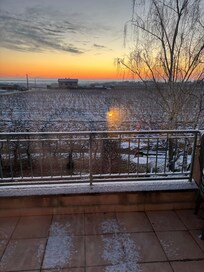 Vue dégagée sur les vignes. Très agréable.
