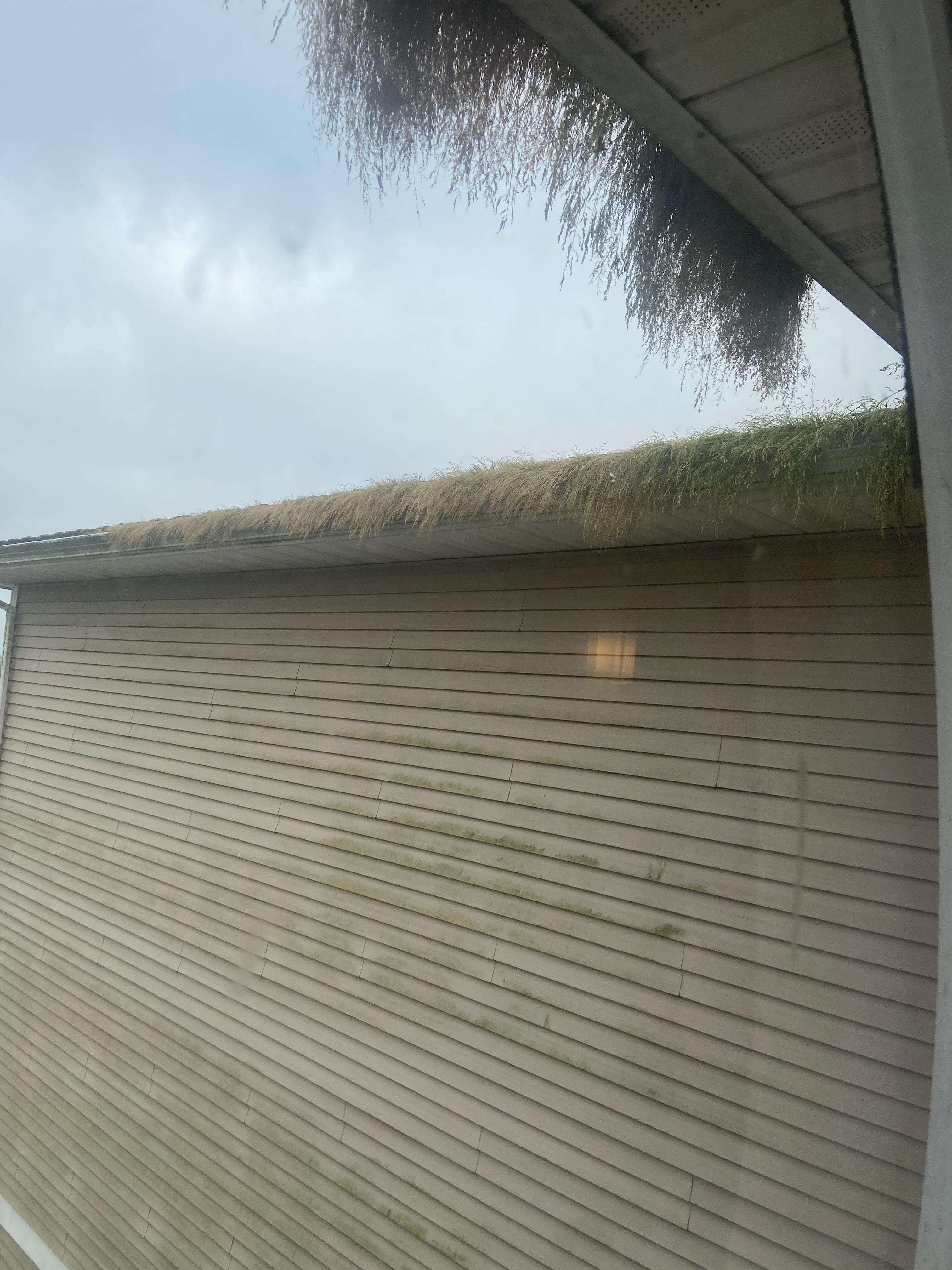 Poorly maintained exterior. Grass growing in gutters