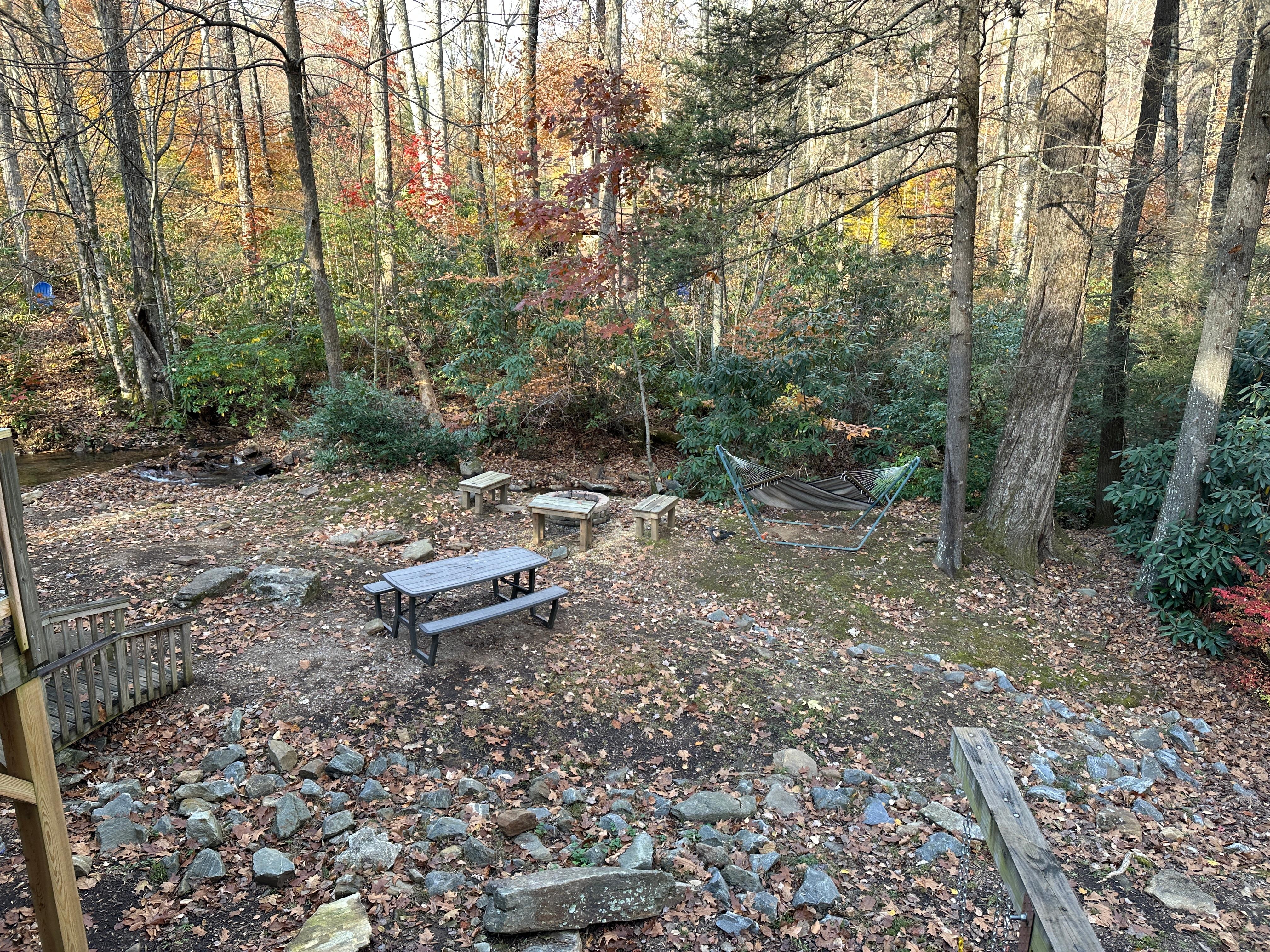 Disappointing back yard.