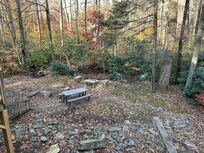 Disappointing back yard.