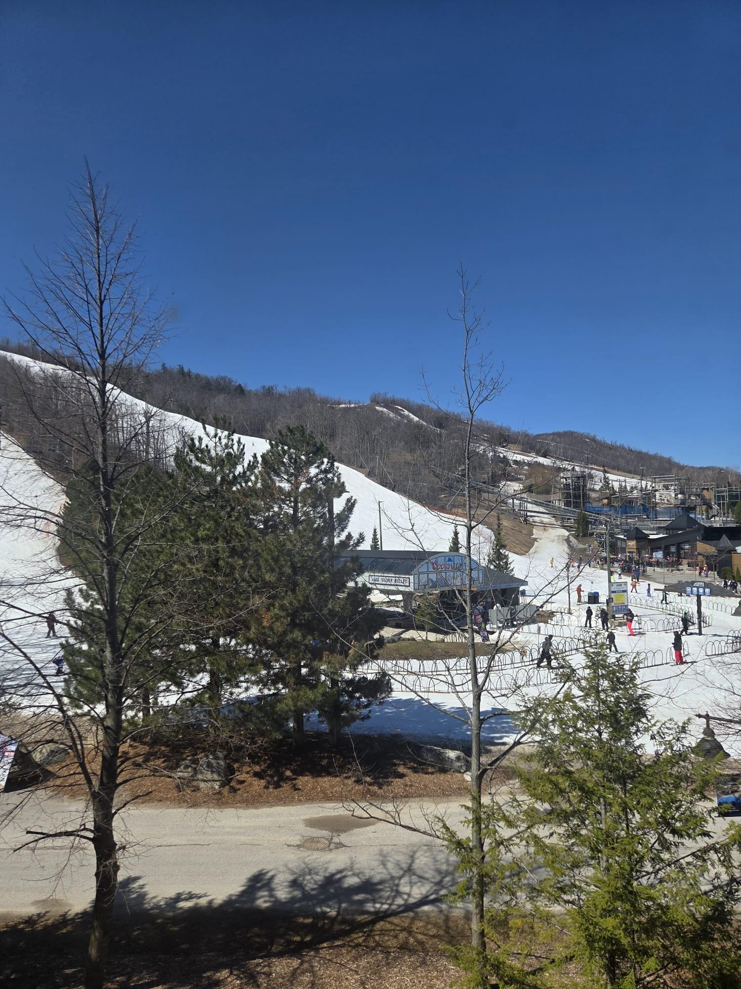 Wish I could ski. Loved watching others come down the hill.