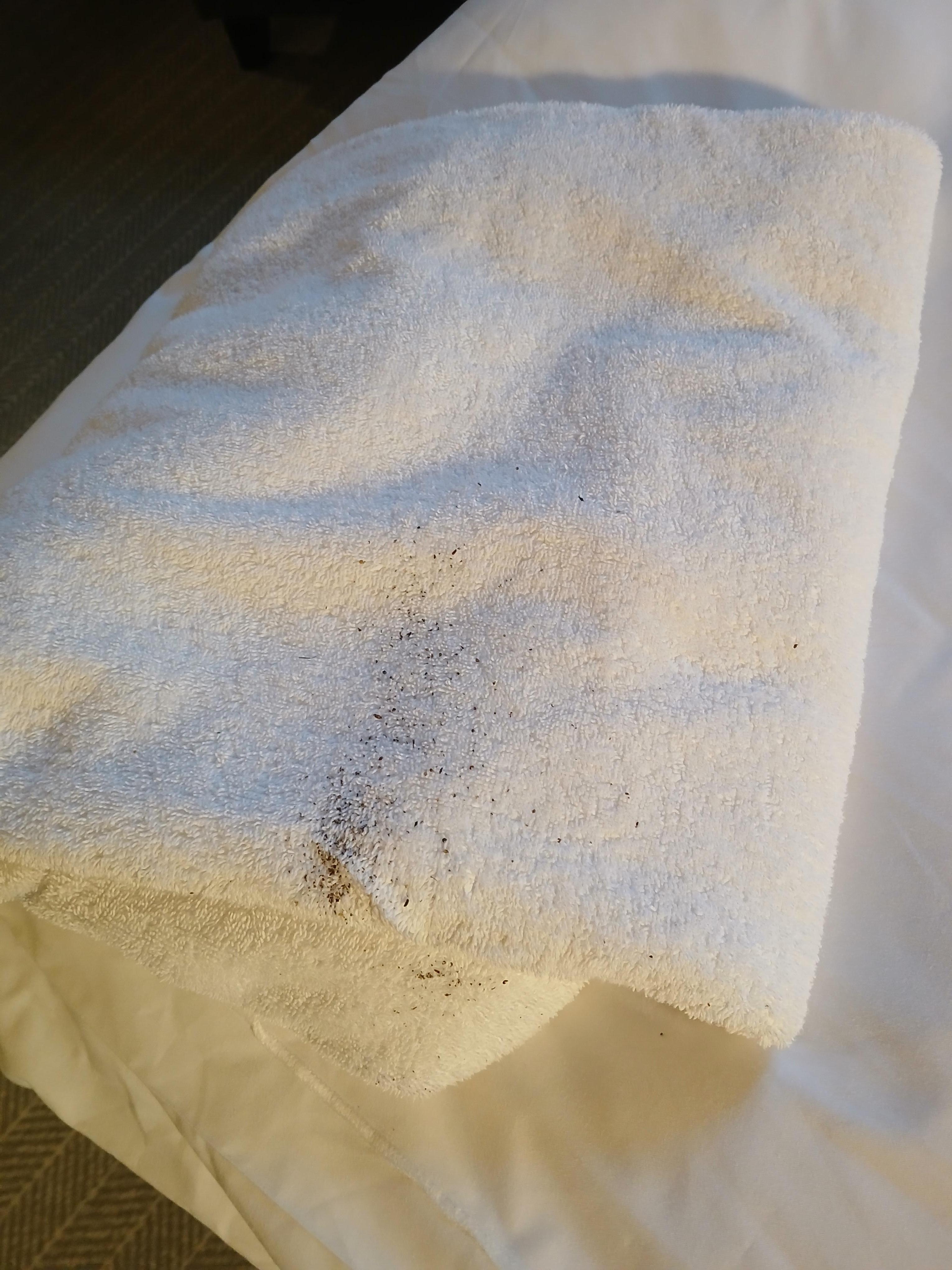 Dirty bath towel