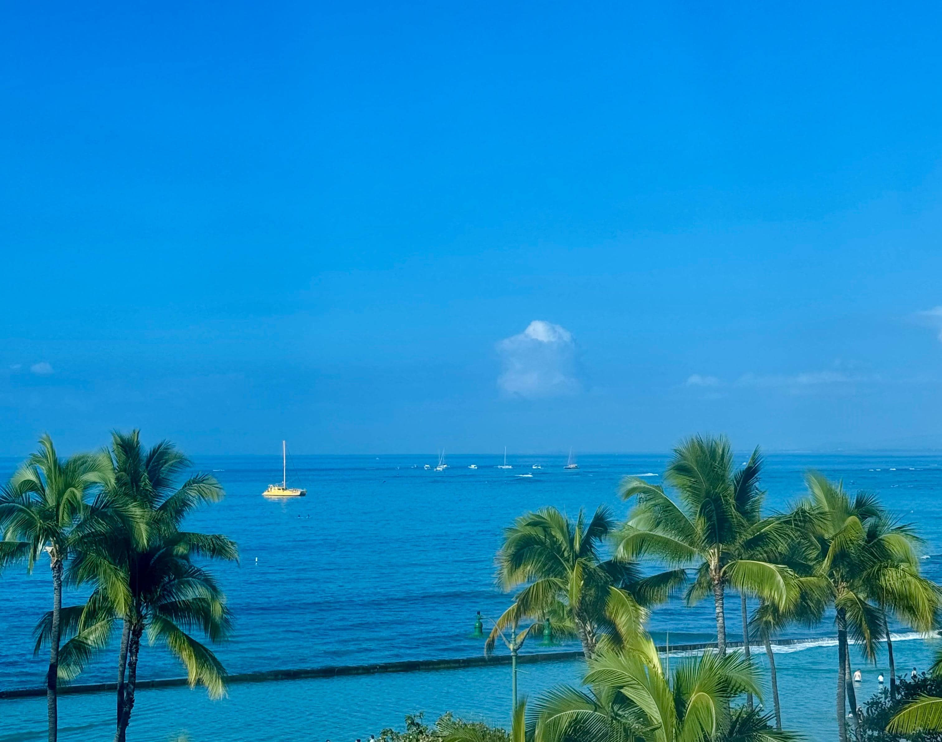 My view from my room. 