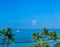 My view from my room.