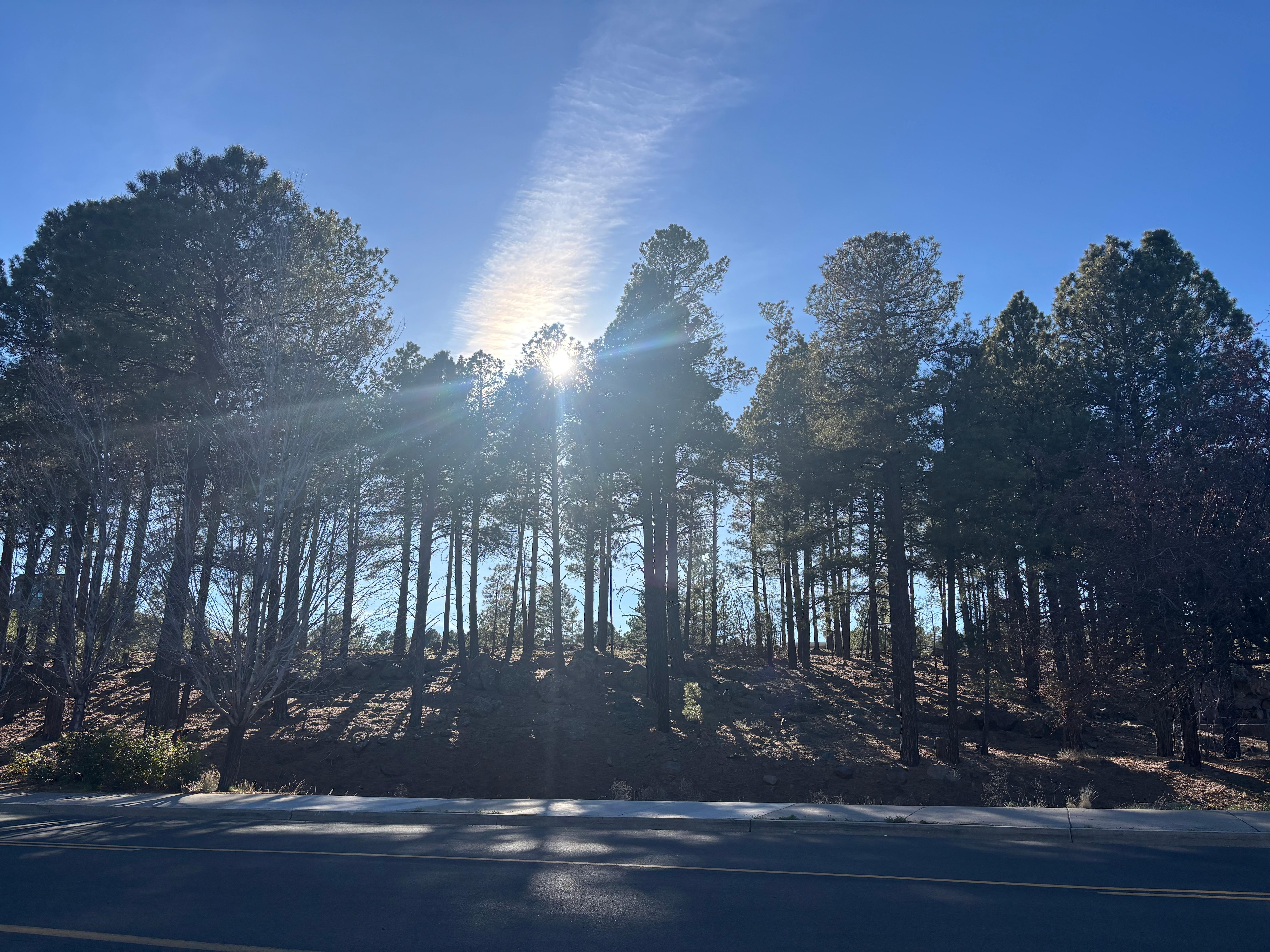 On a walk to In & Out :)