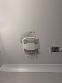 Half bathroom mold