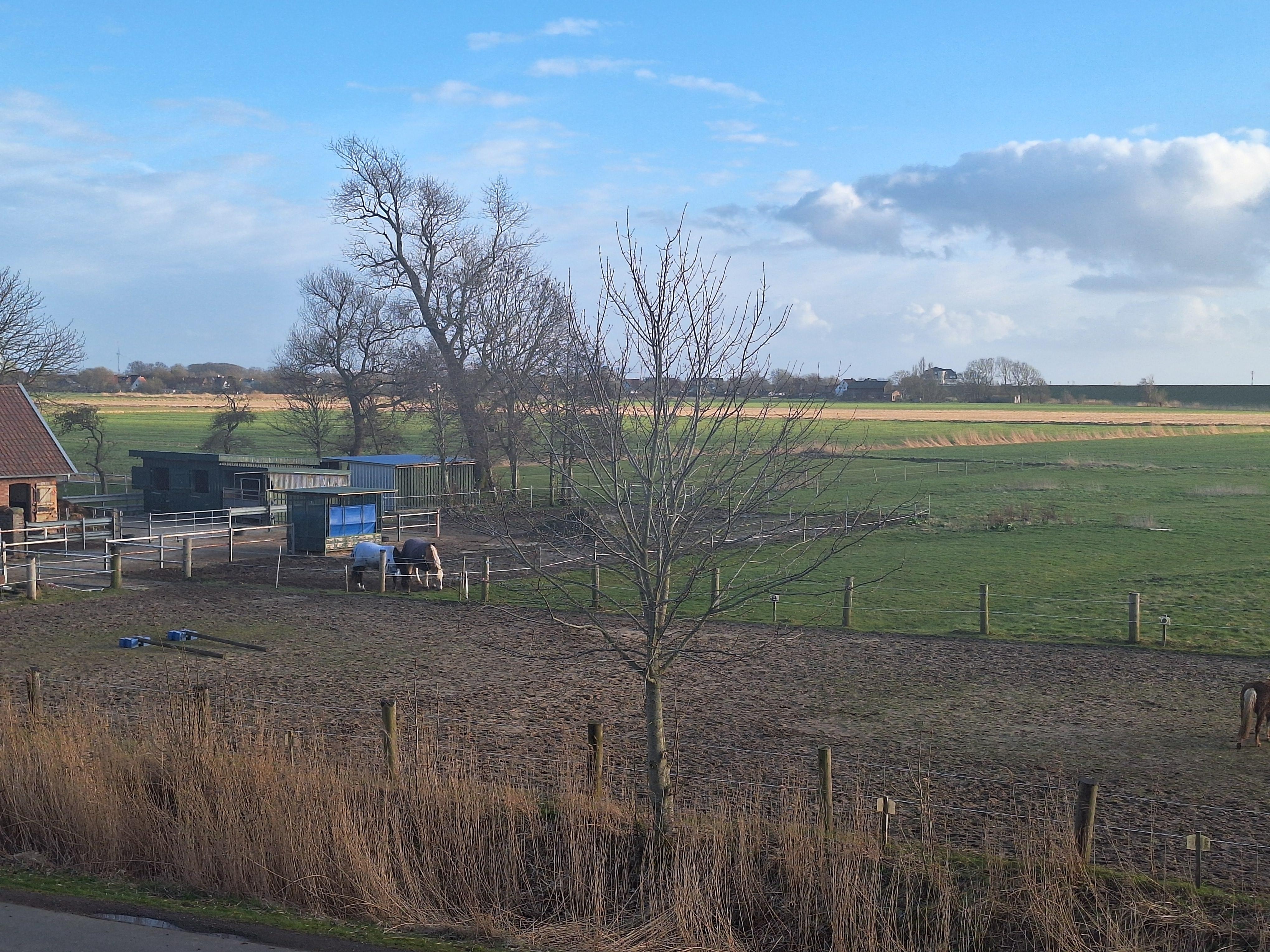 Ausblick aus dem Fenster