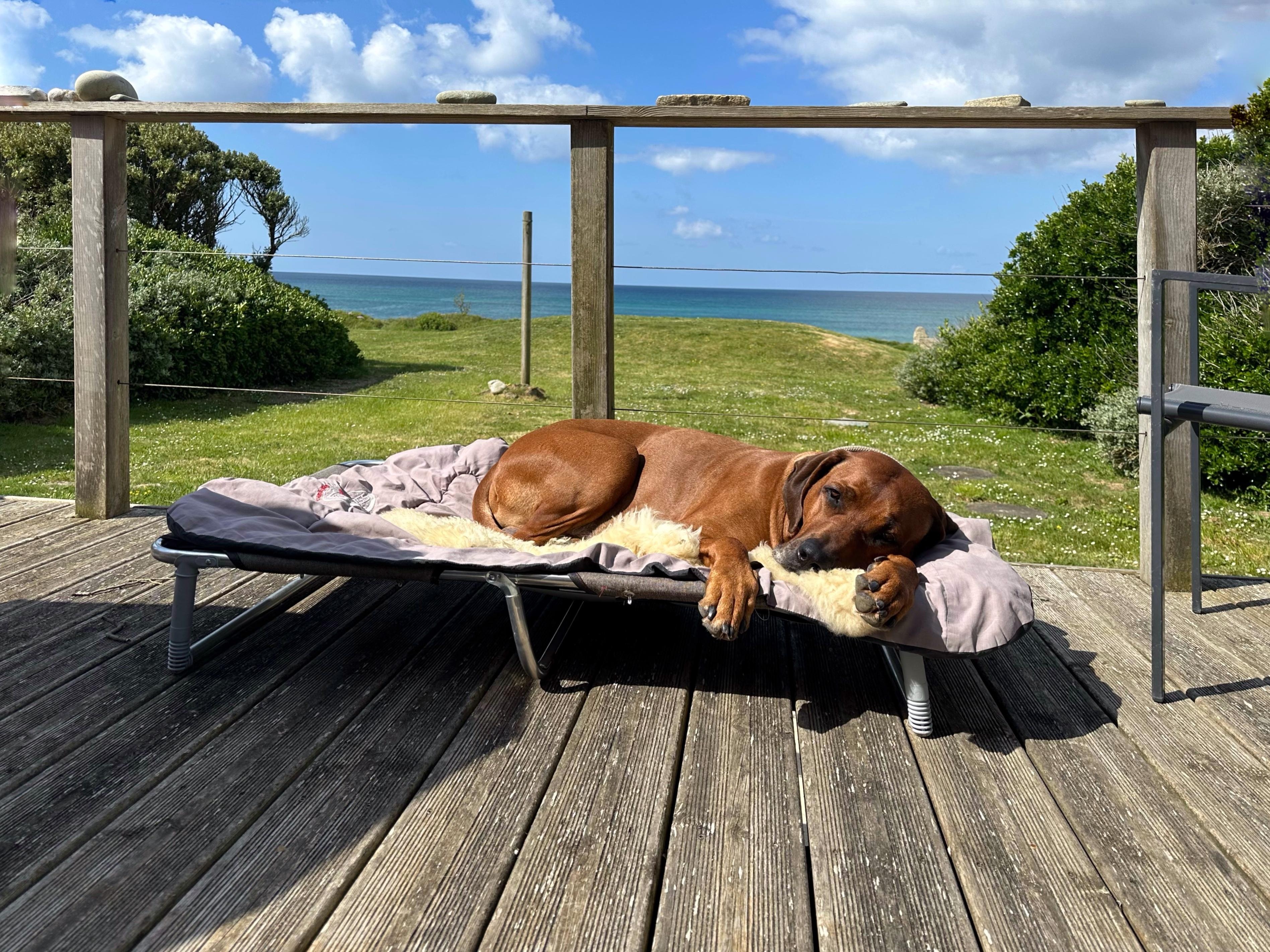 Entspannung pur für Mensch und Tier! 