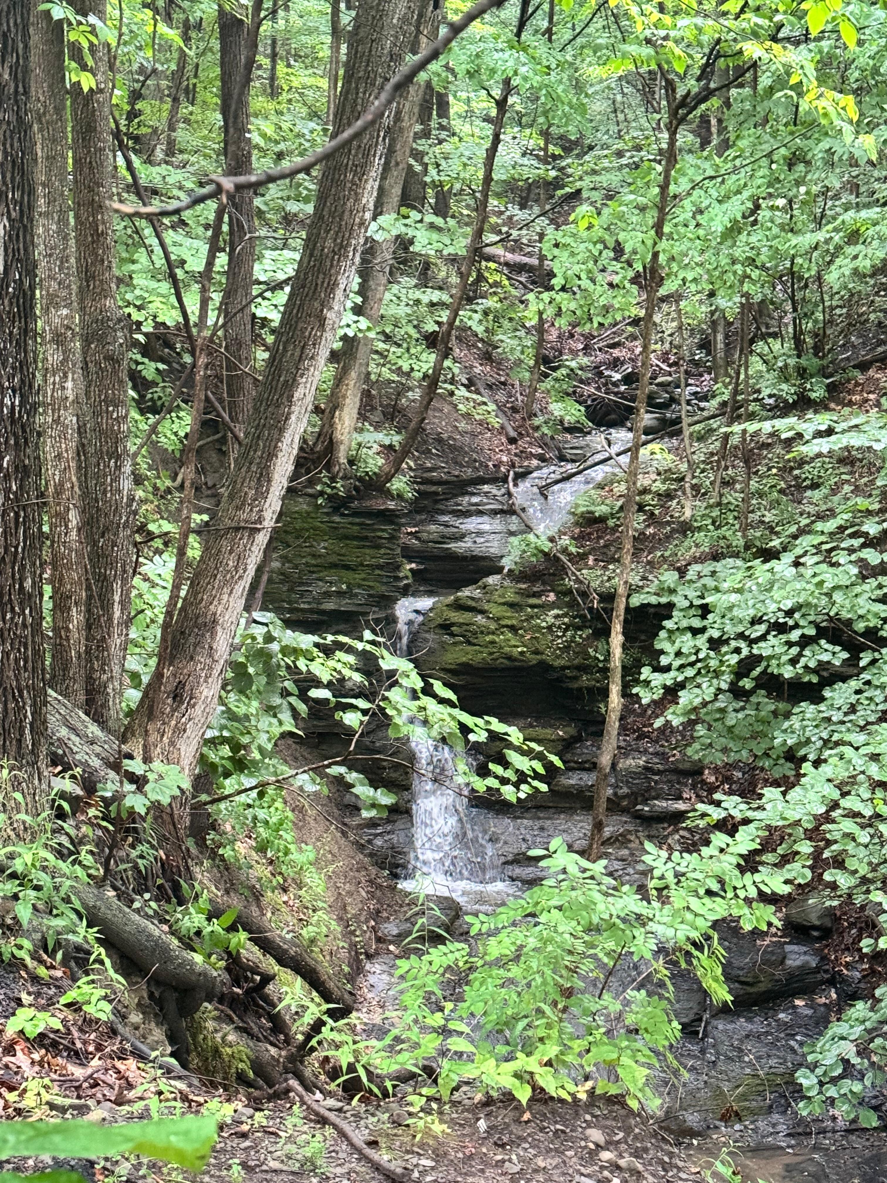 Waterfall along access road