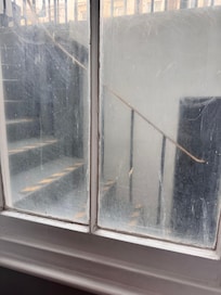 View outside window.
