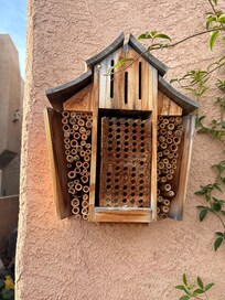 Bee house in the backyard