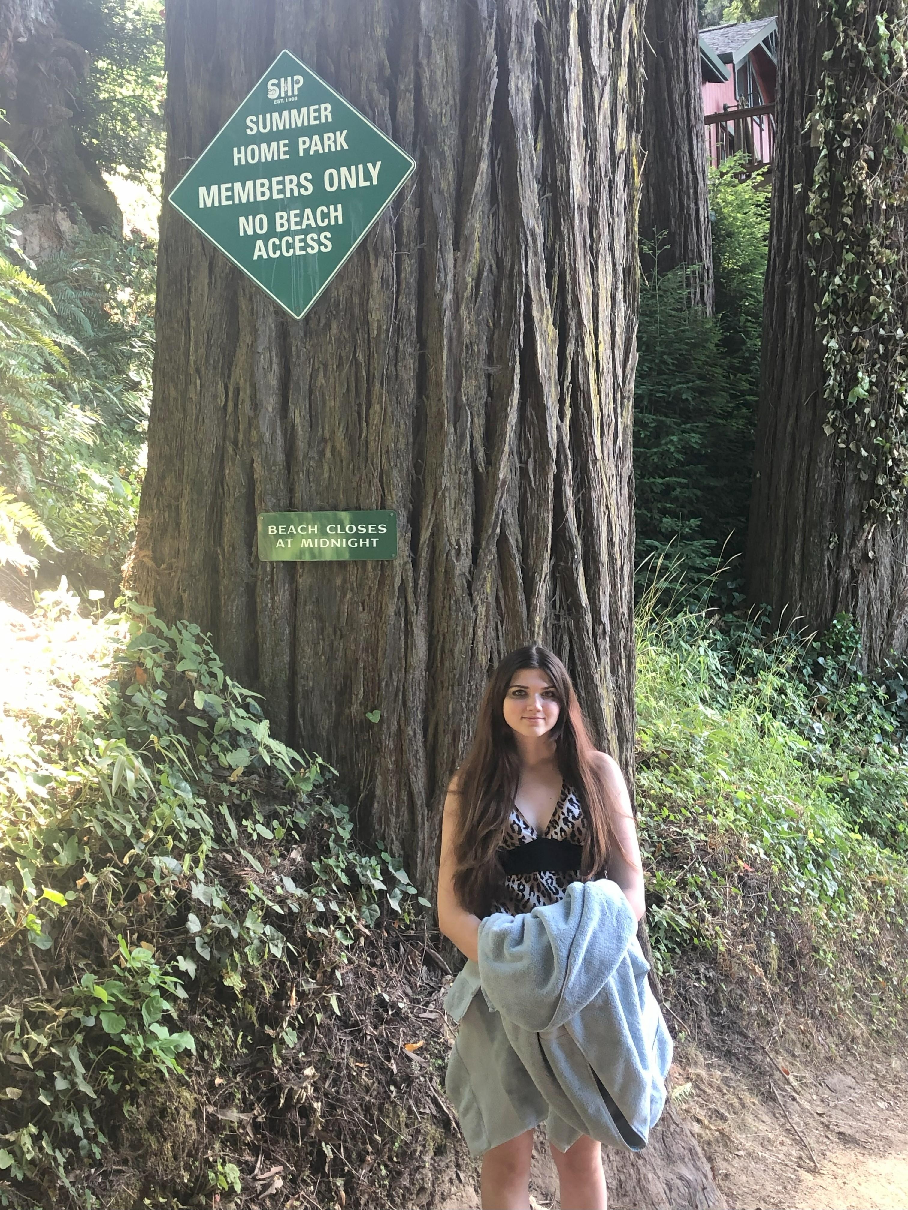 My granddaughter and the redwood.