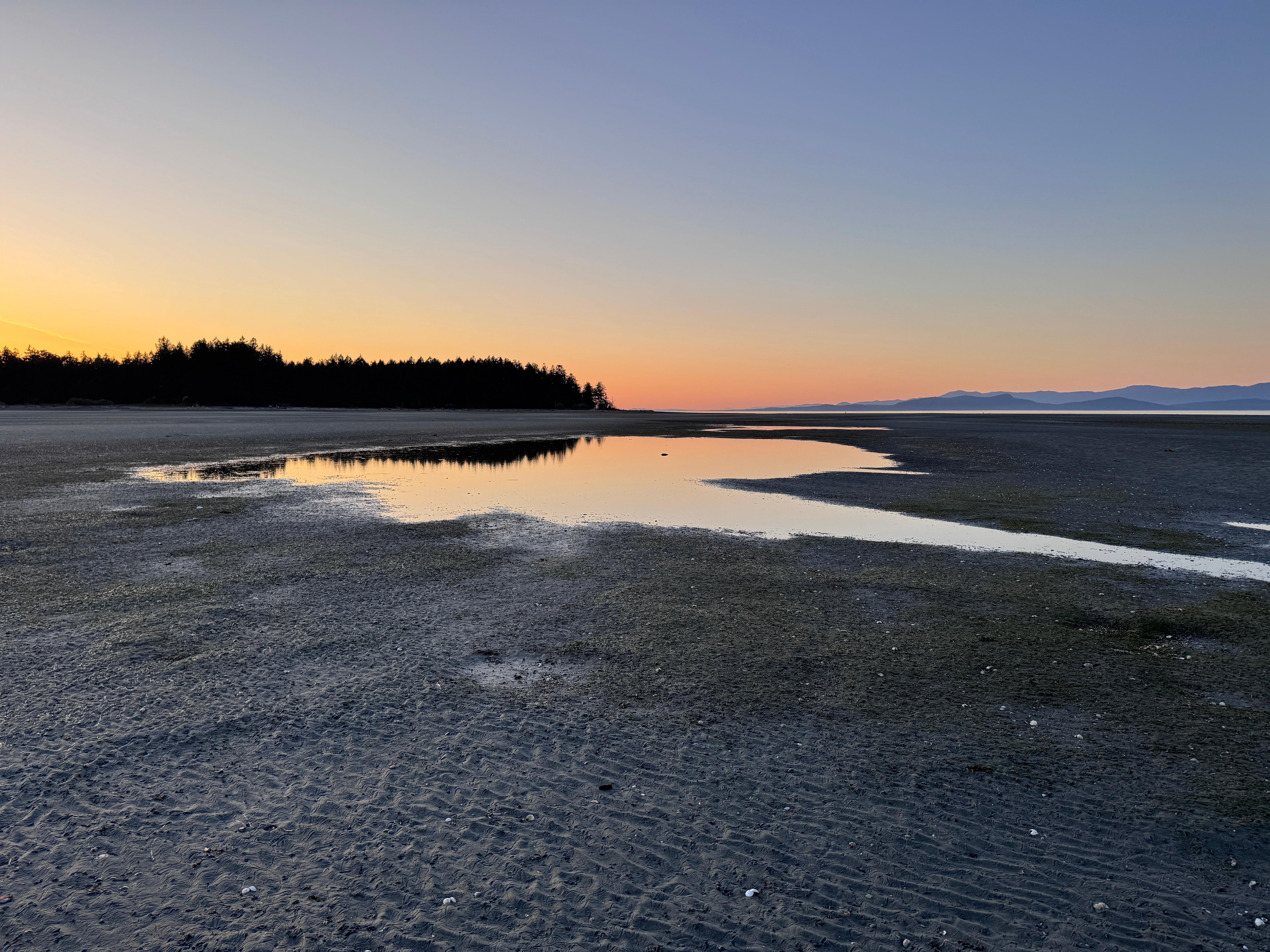 The beach at sunset 