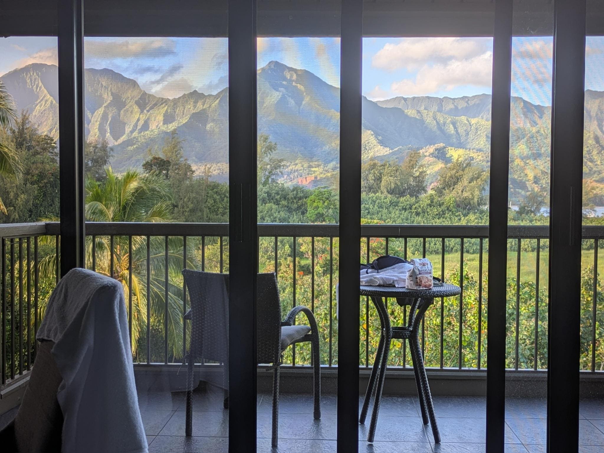 View from the living room