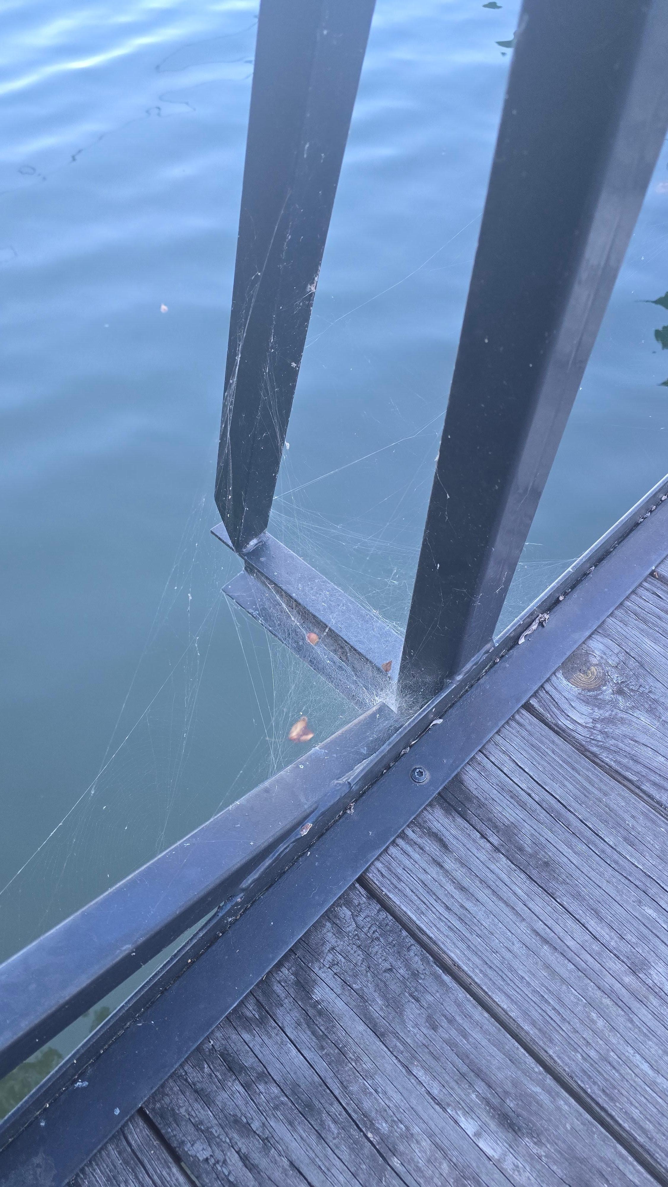 Thick spider webs run all the way down the dock. A previous review answer says they "aren't allowed to spray," but surely someone can come knock the webs down before a guest arrives.
