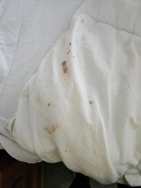More stains on king bed