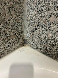 Something growing in tub corner