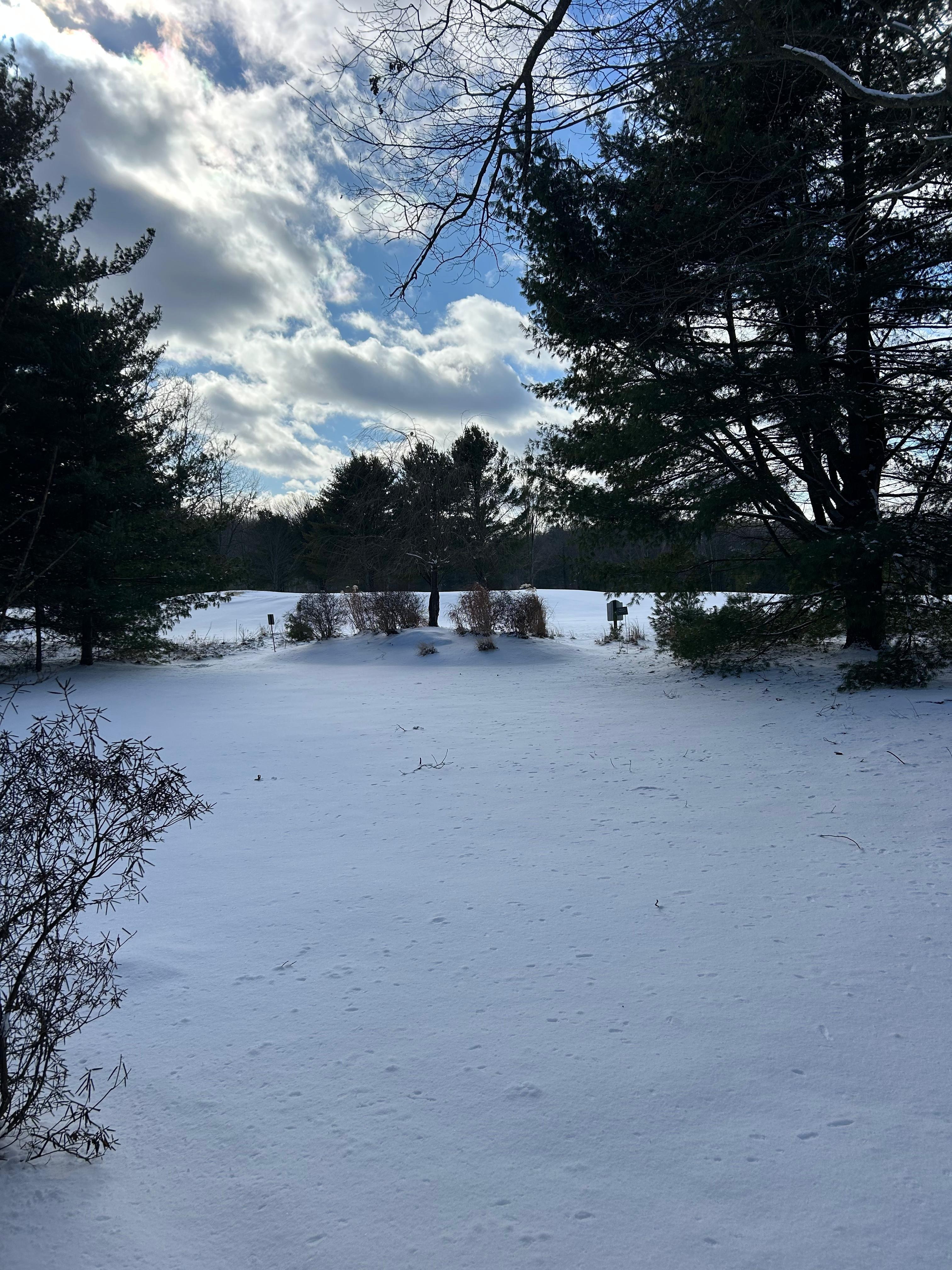 View from outside firepit