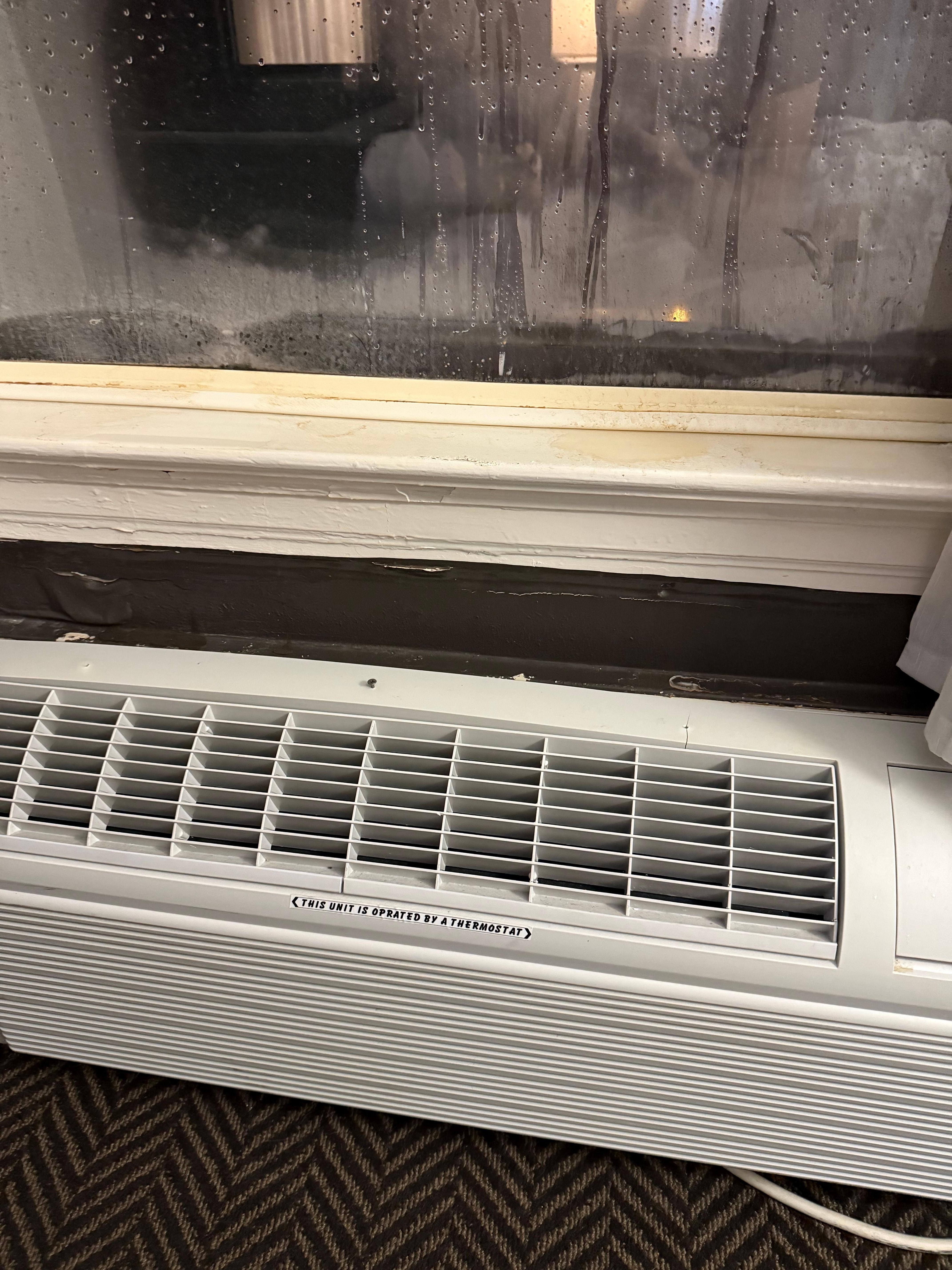 The windowsill is literally rotting away 