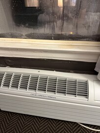 The windowsill is literally rotting away