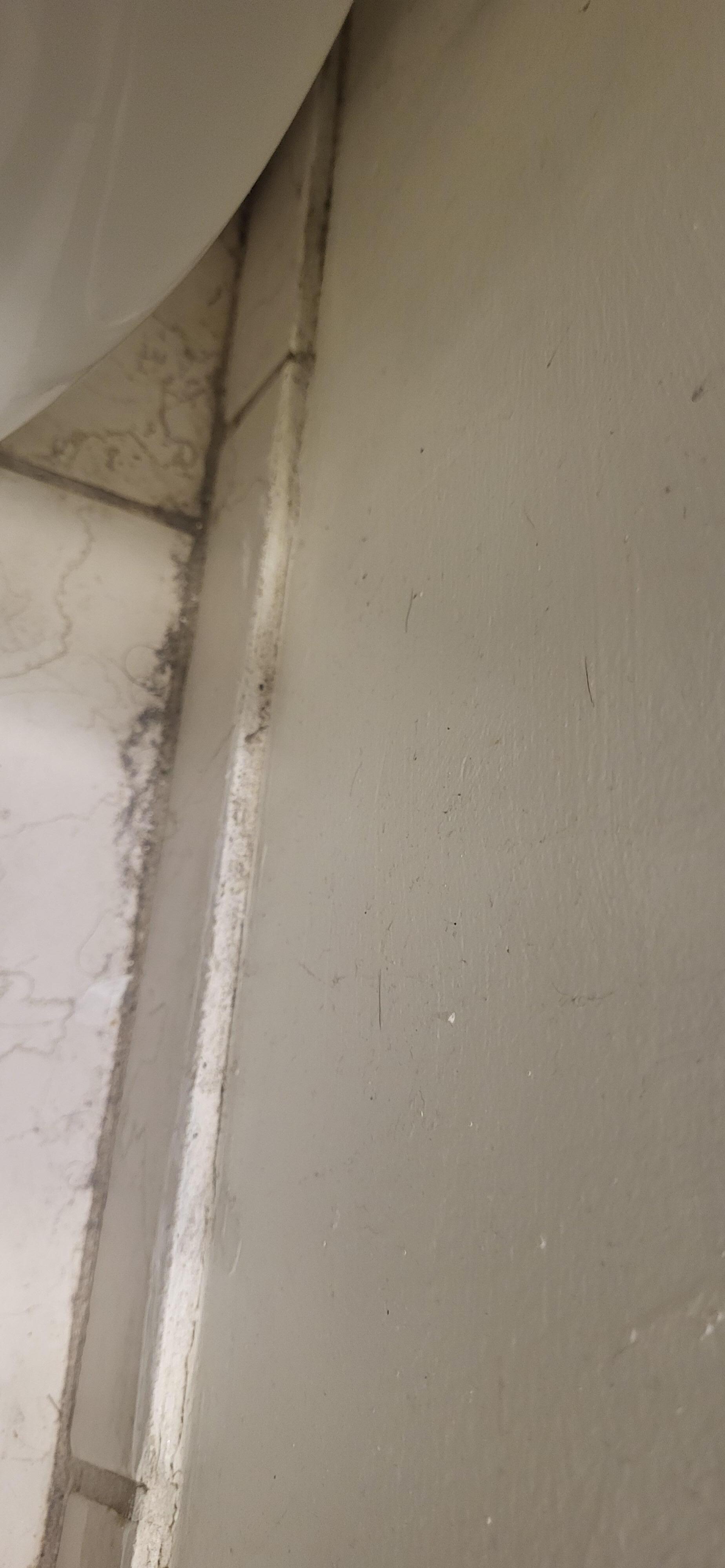 Very dirty, hair everywhere, broken and torn blind