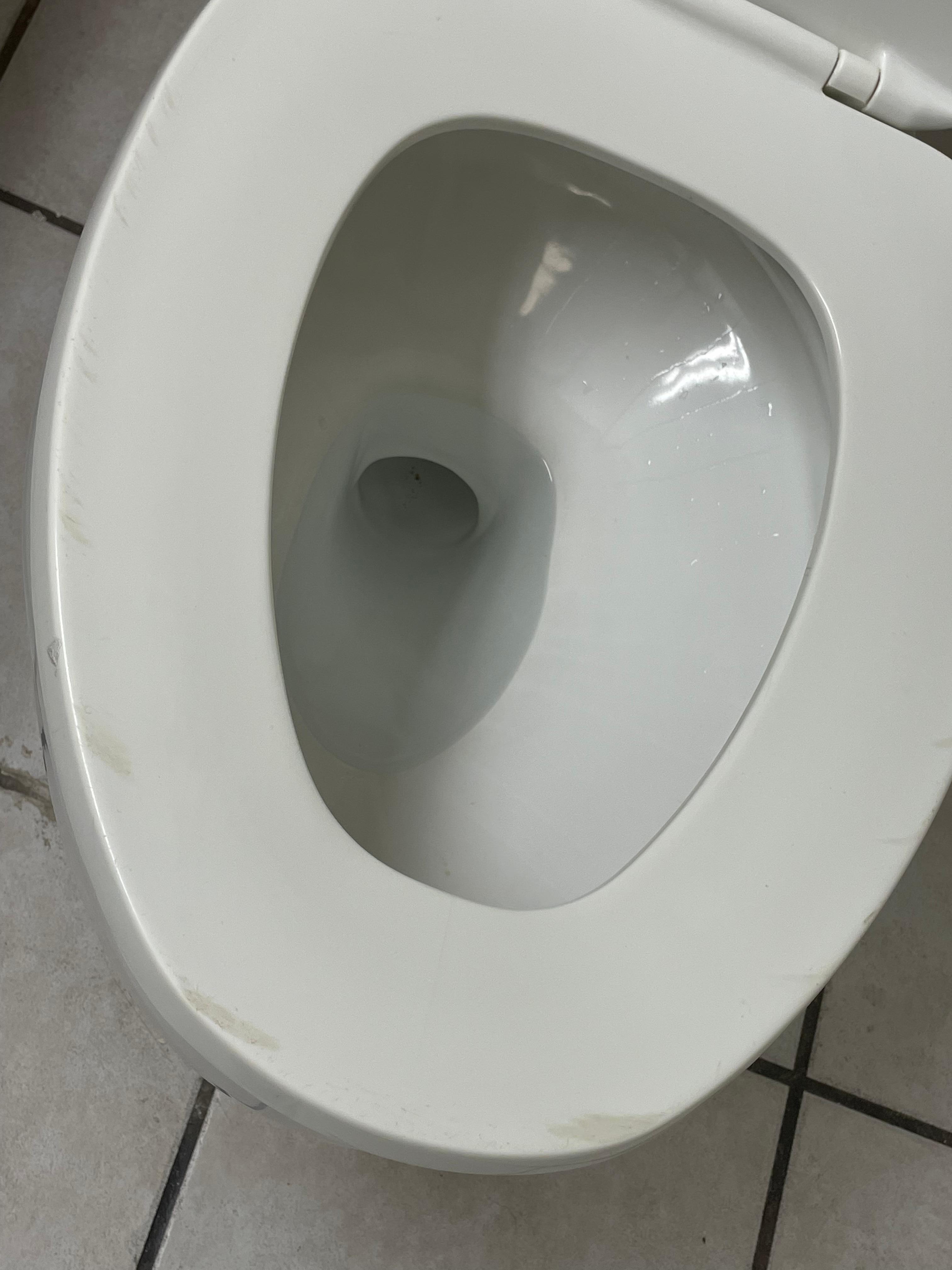 Old toilet seat 
