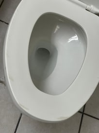 Old toilet seat