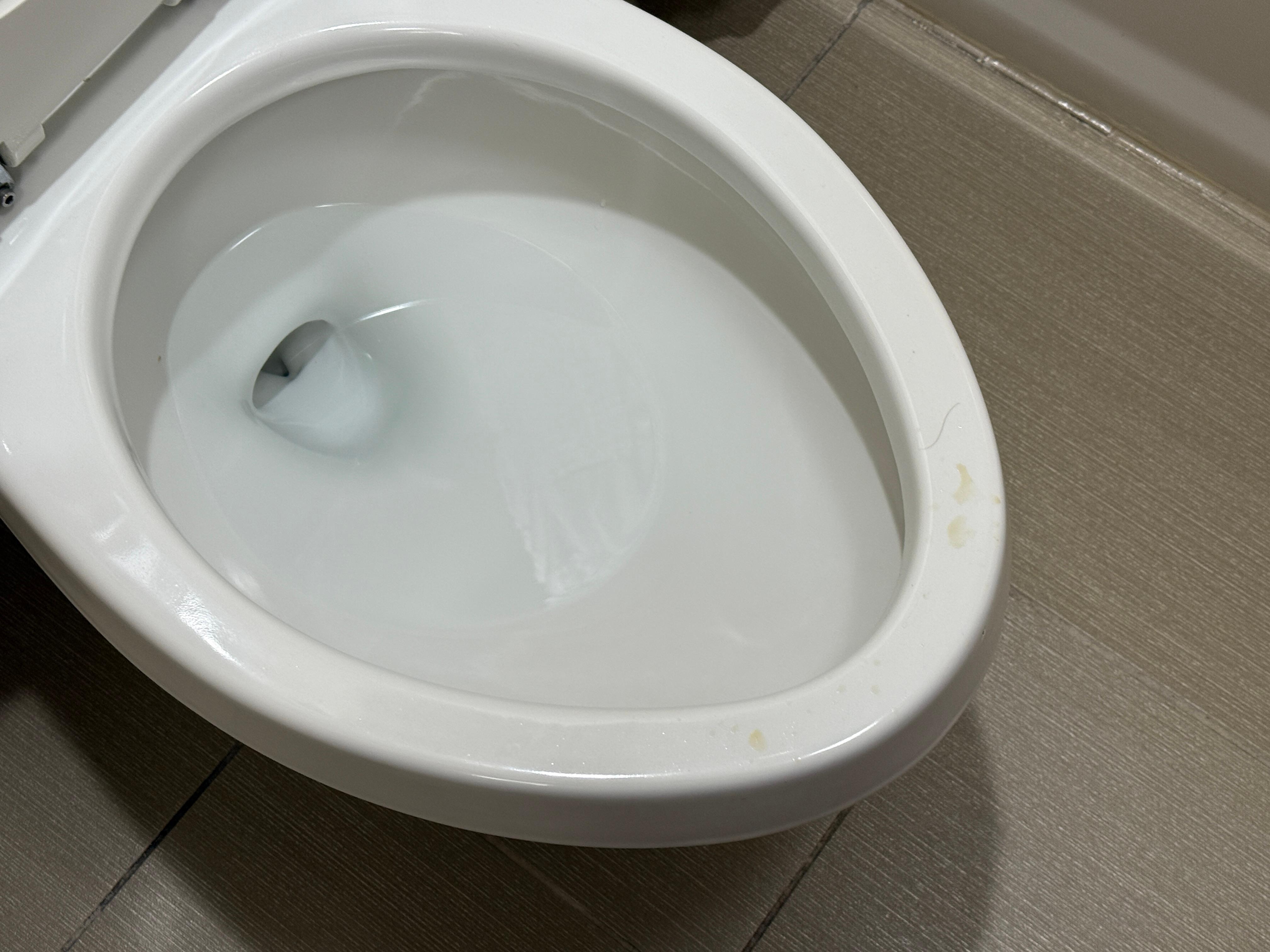 Urine on toilet bowl