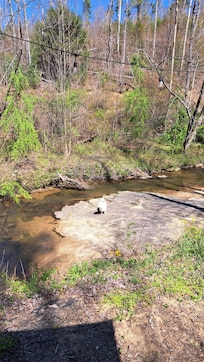 View from the deck down to the creek