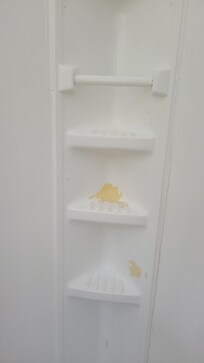 shower wall in master bathroom. can see its peeling and needs to be replaced. not painted.
